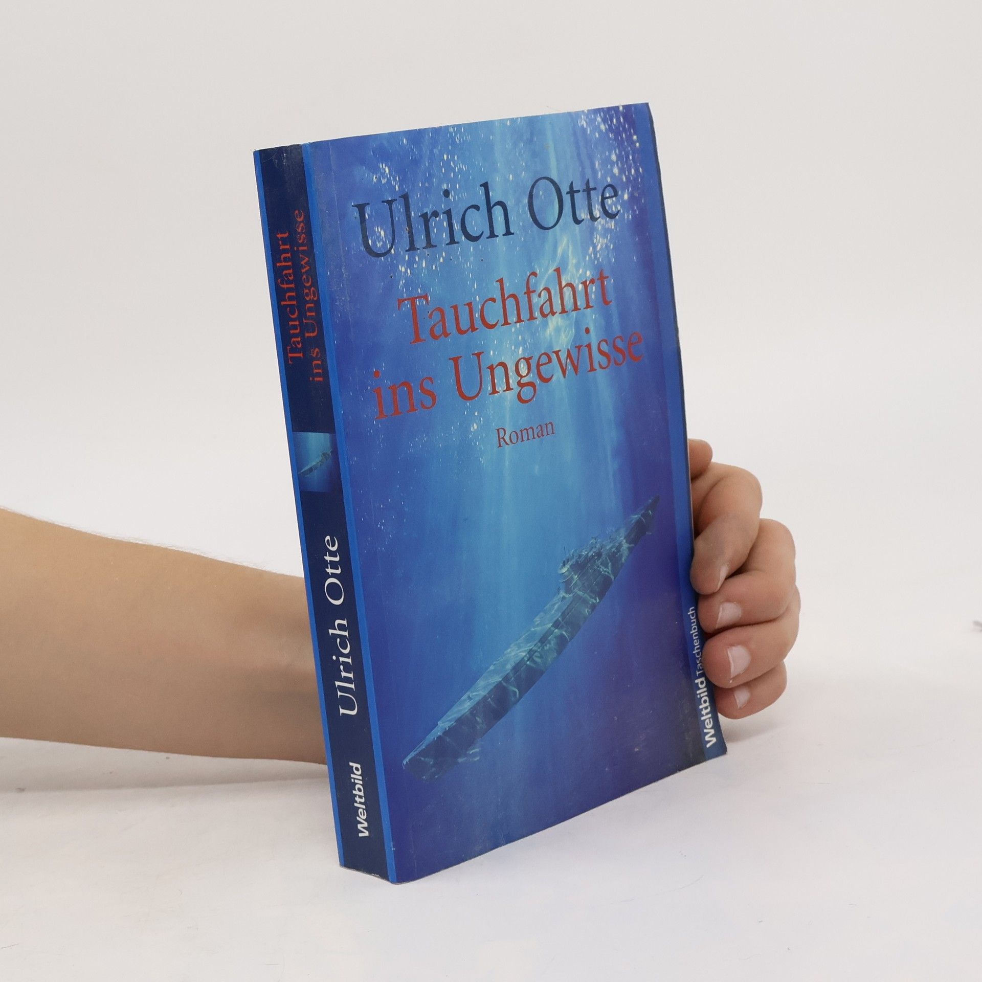 Ulrich Otte Tauchfahrt ins Ungewisse