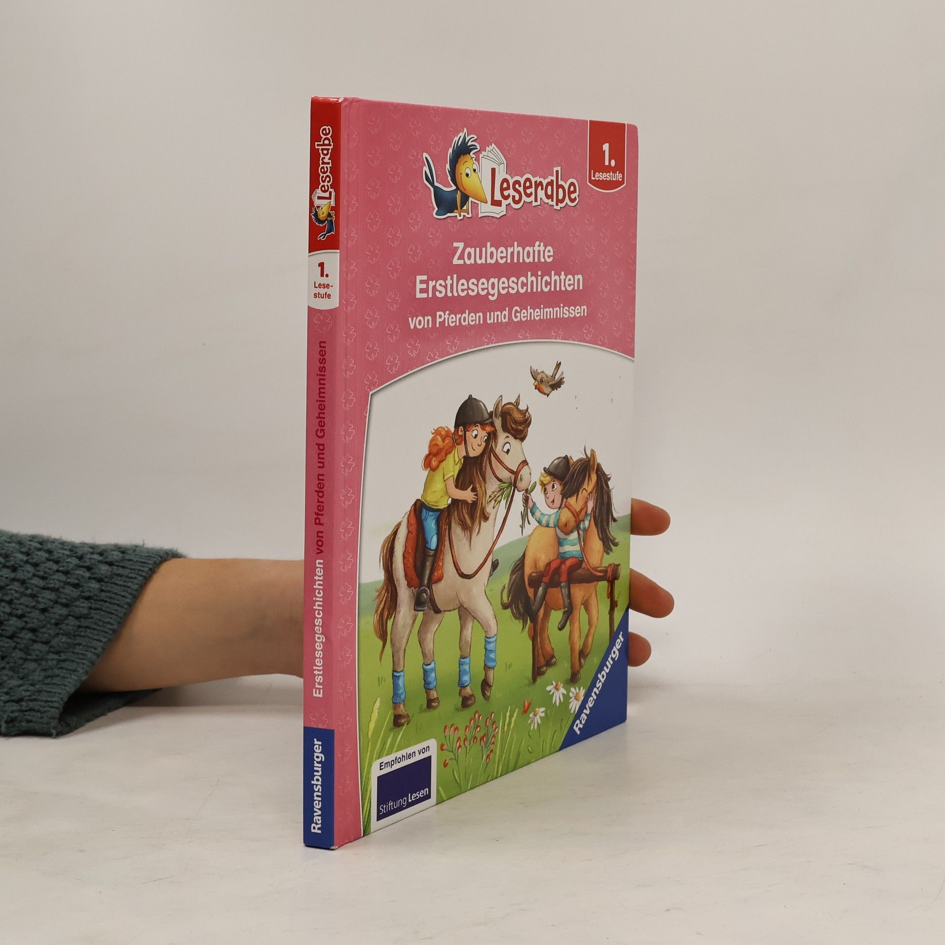 Martin Lenz Zauberhafte Erstlesegeschichten von Pferden und Geheimnissen