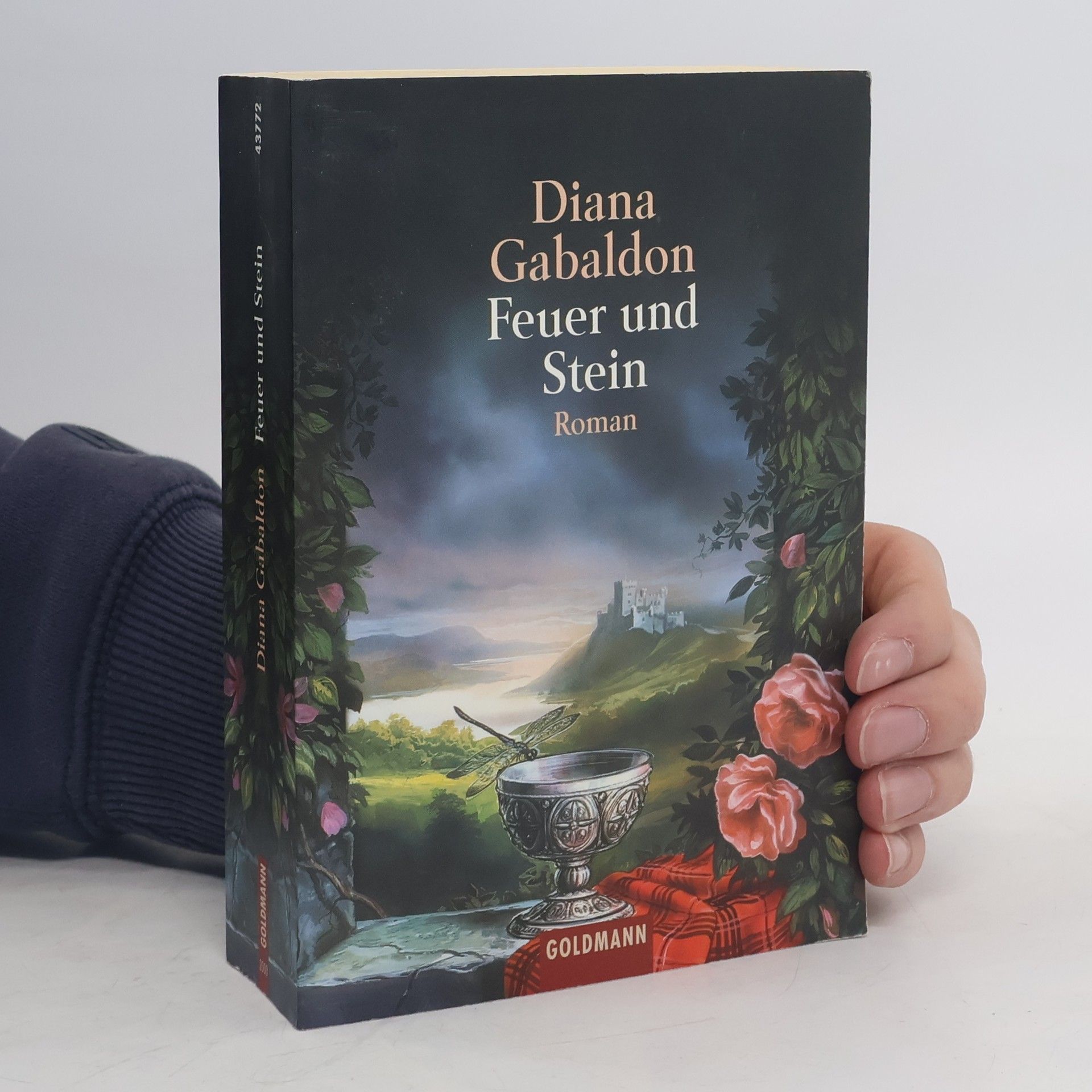 Diana Gabaldon Feuer und Stein