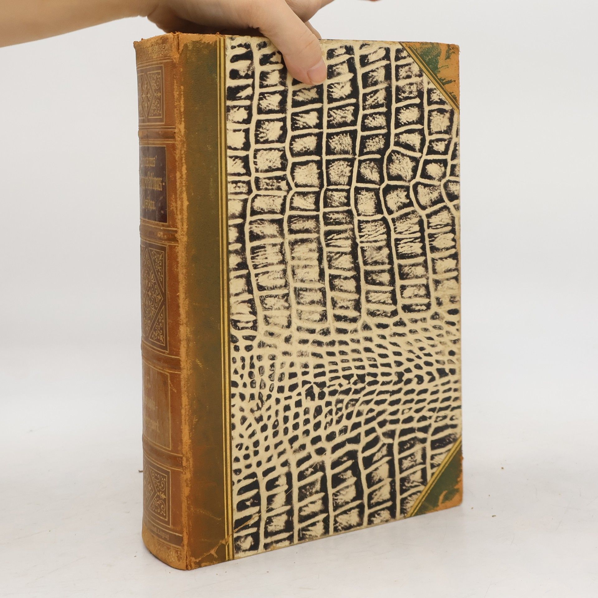 Autorenkollektiv Brockhaus' Konversations-Lexikon 13