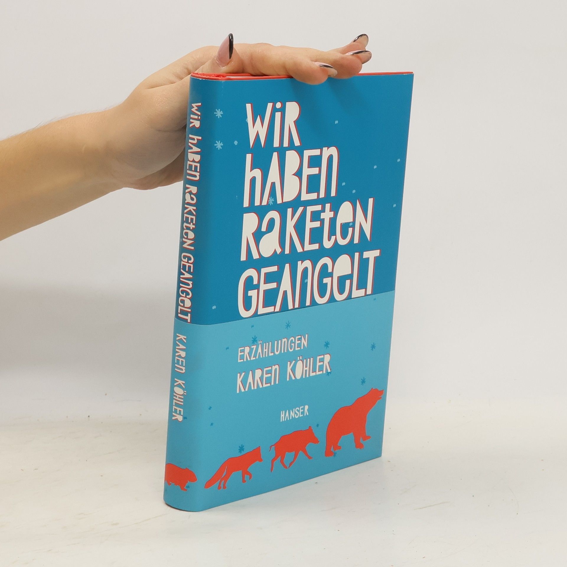 Karen Köhler Wir haben Raketen geangelt