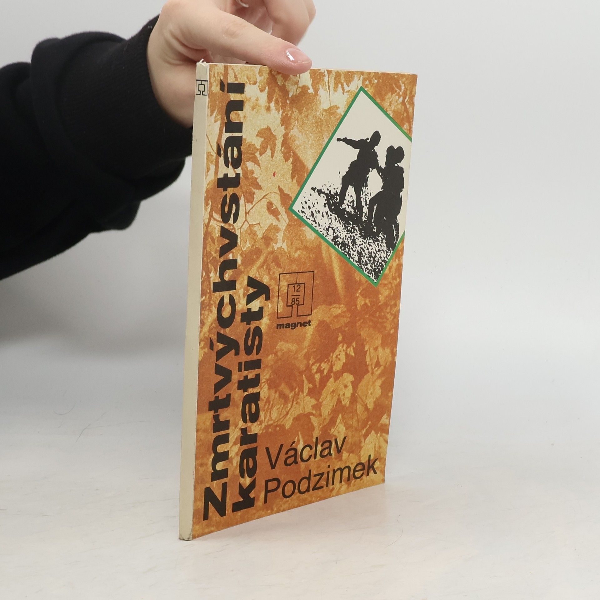 Zmrtvýchvstání karatisty