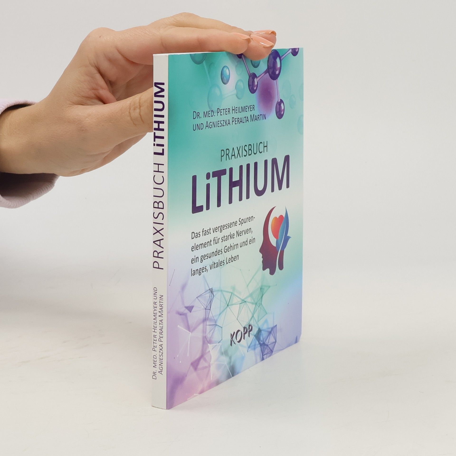 Praxisbuch Lithium