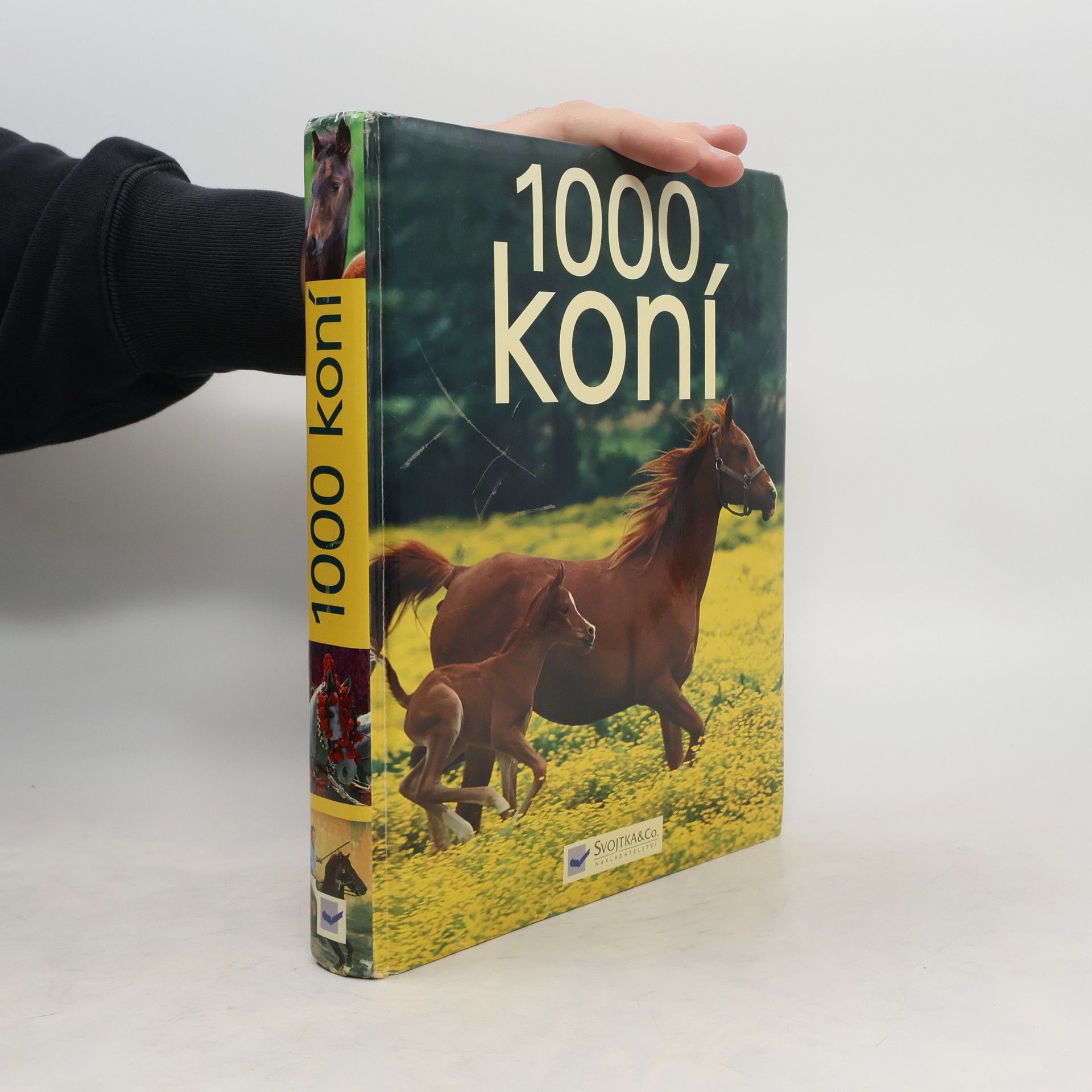 Ulrike Schöber 1000 koní