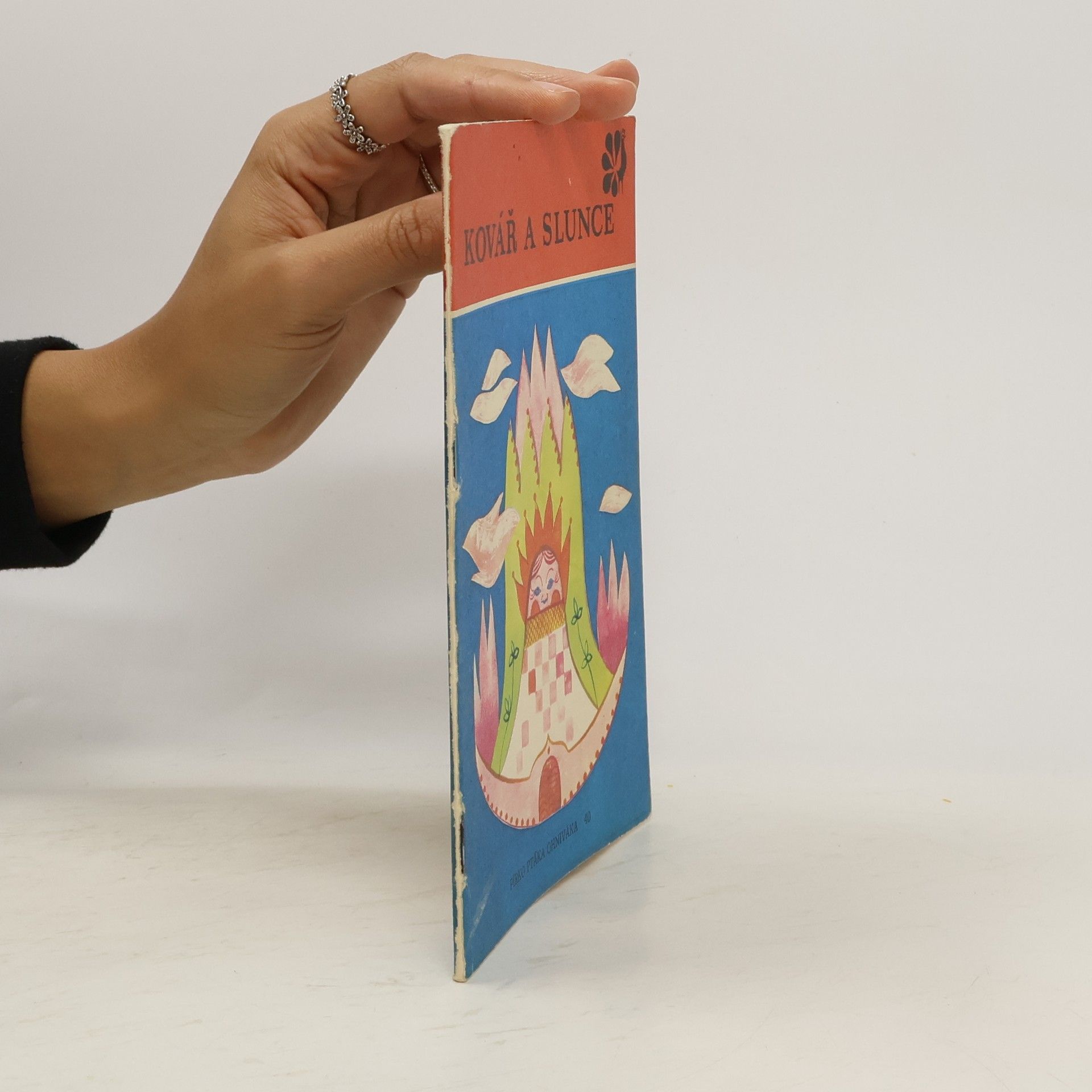 Autorenkollektiv Kovář a slunce