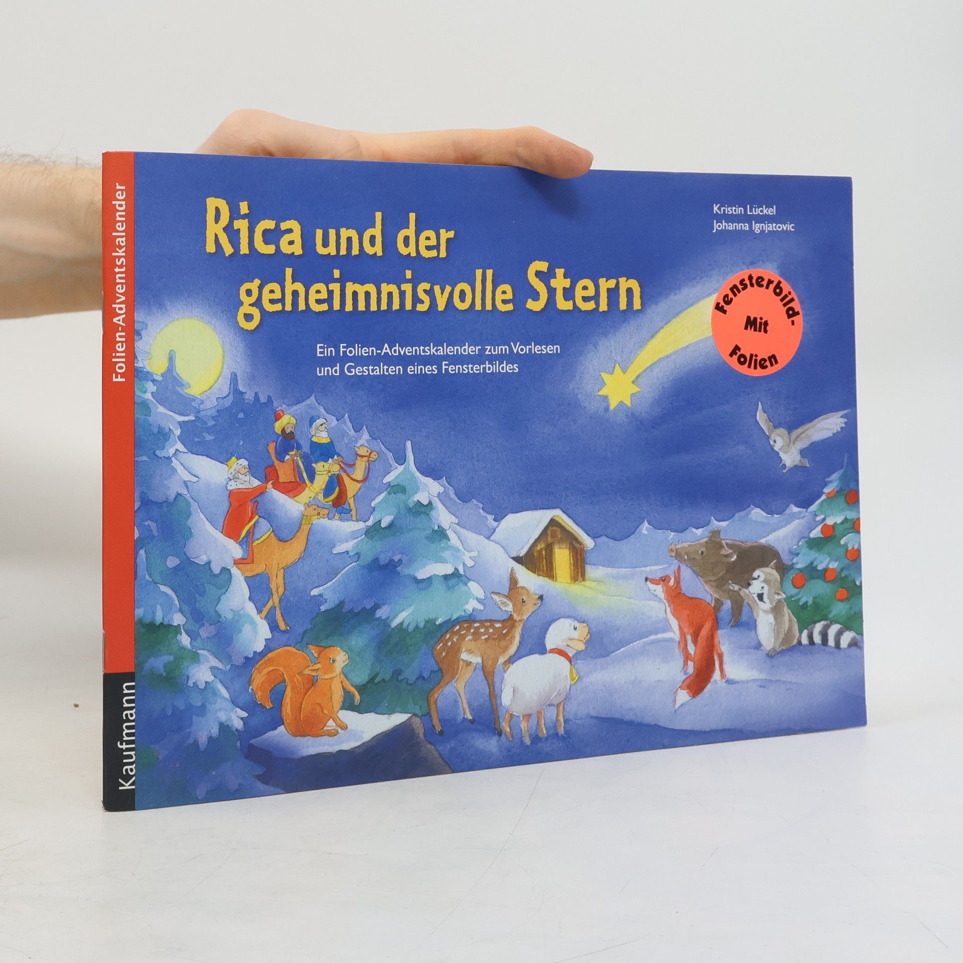 Kristin Lückel Rica und der geheimnisvolle Stern