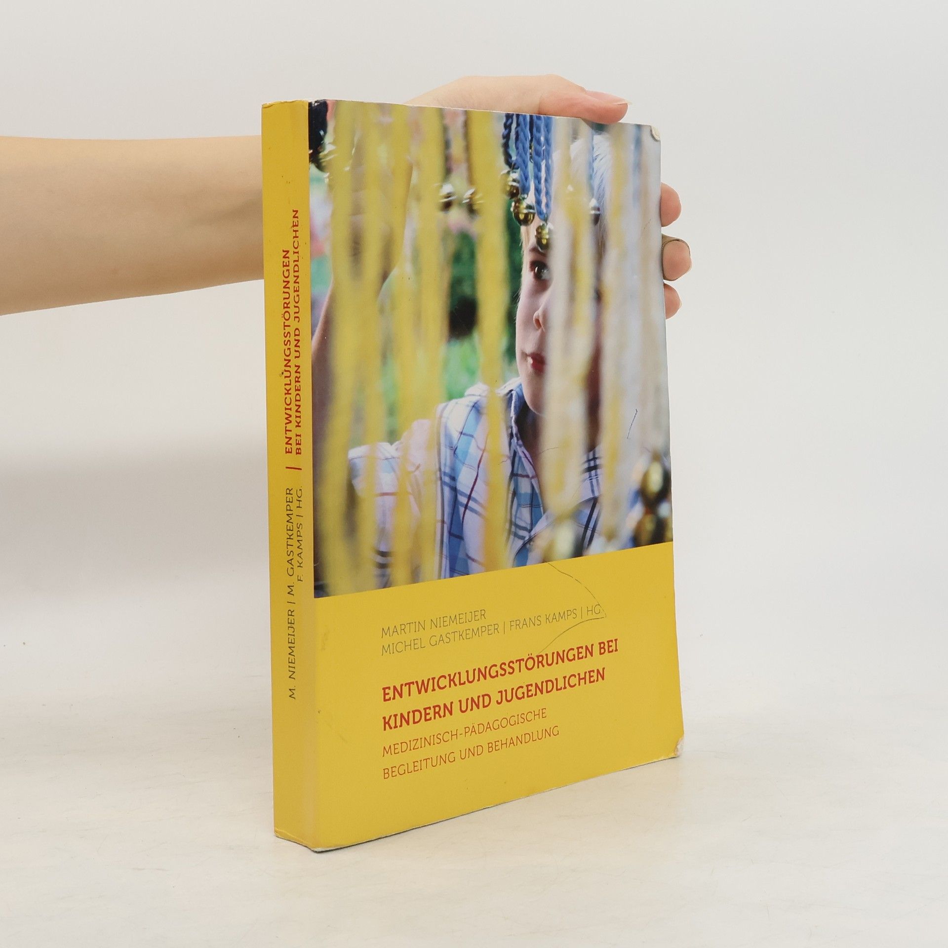 Martin Niemeijer Entwicklungsstörungen bei Kindern und Jugendlichen