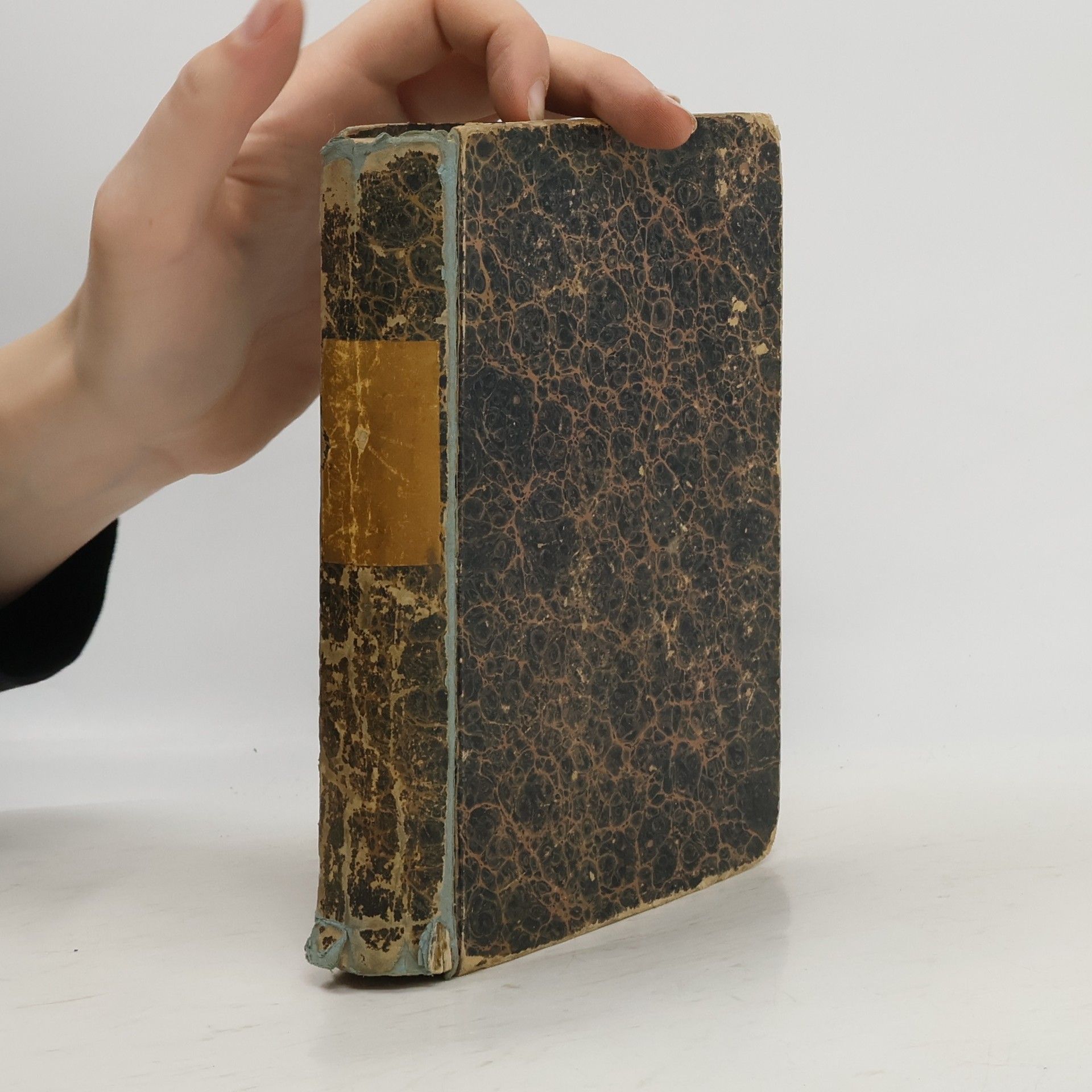 Konrad von Bolanden Die Reichsfeinde 1