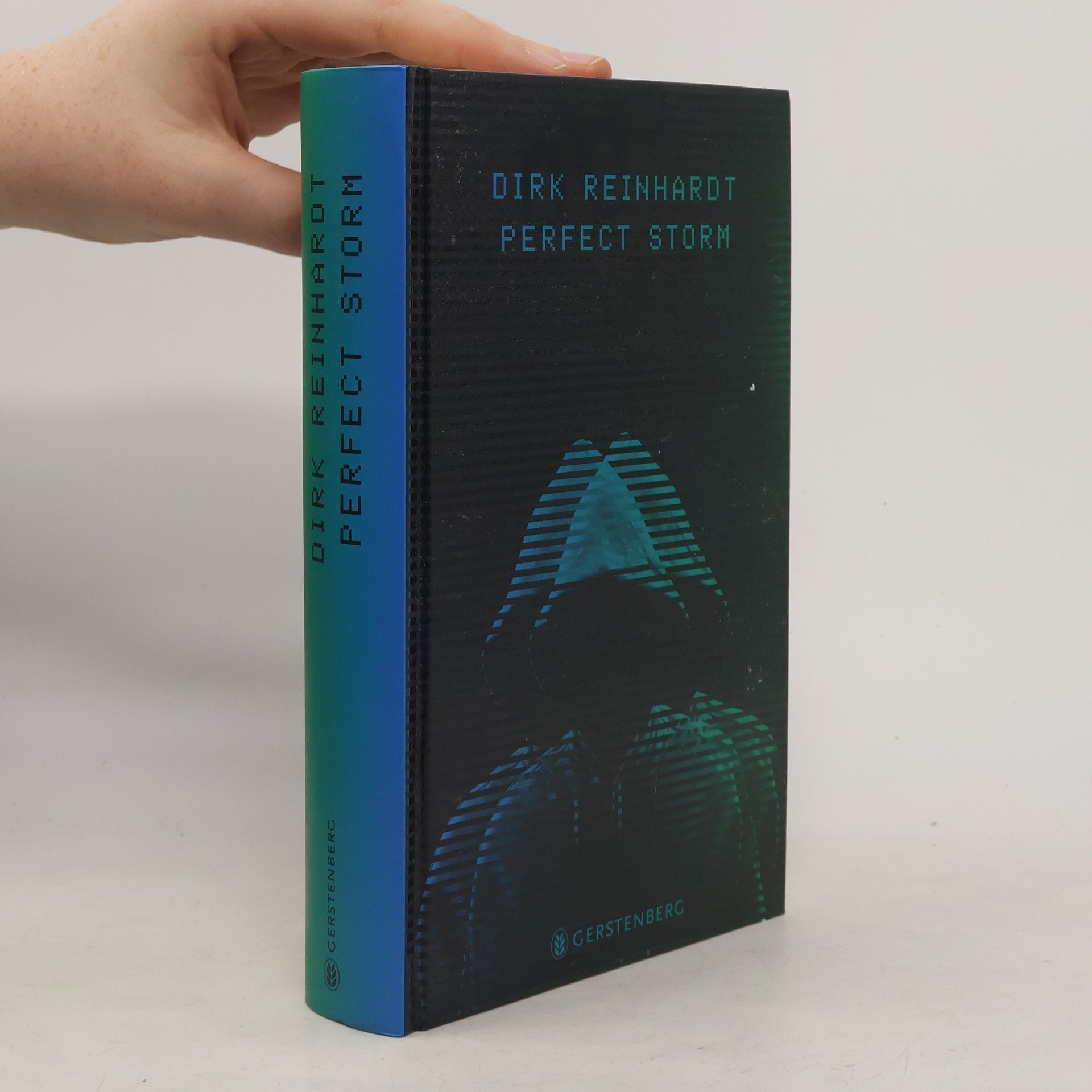 Dirk Reinhardt Perfect Storm