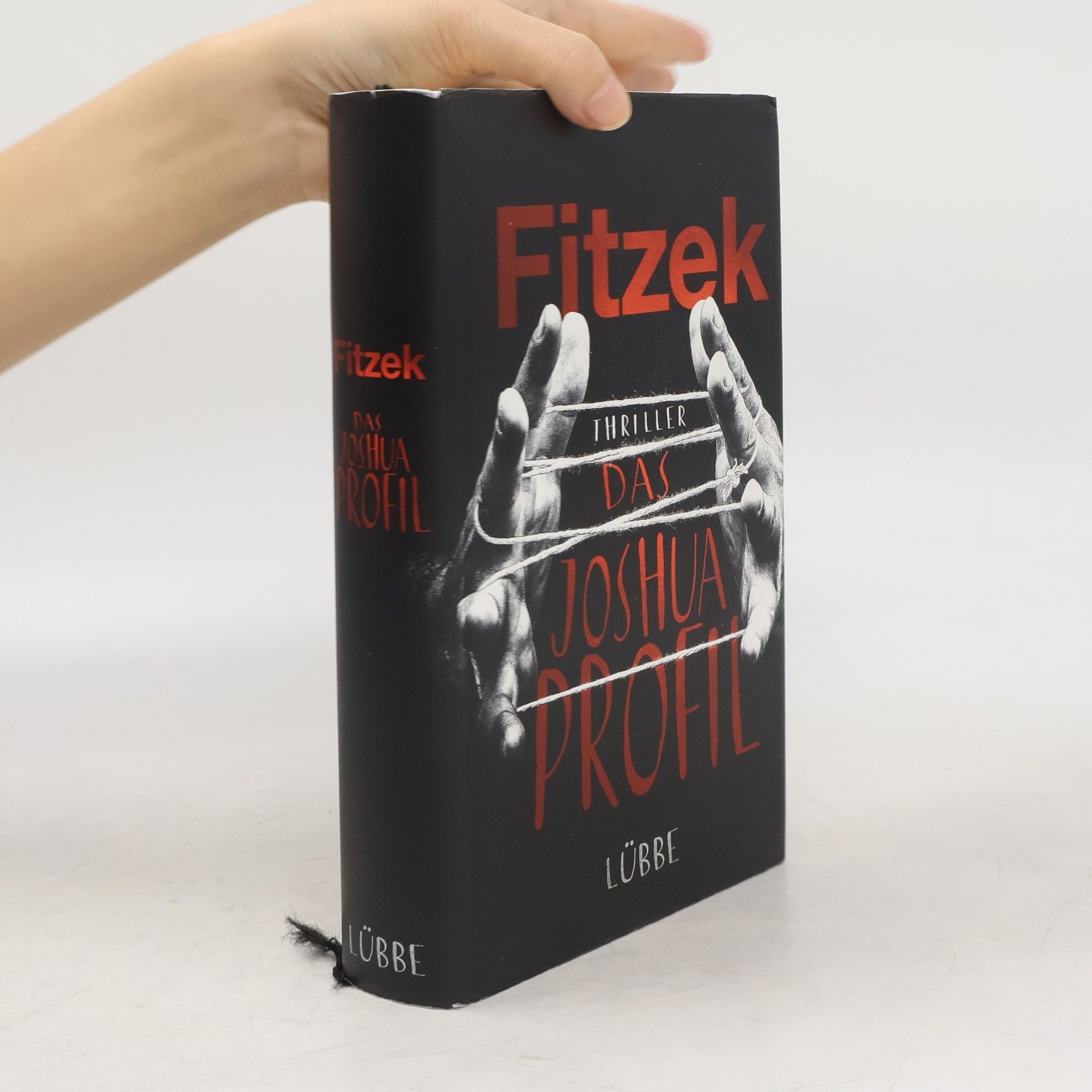 Sebastian Fitzek Das Joshua Profil