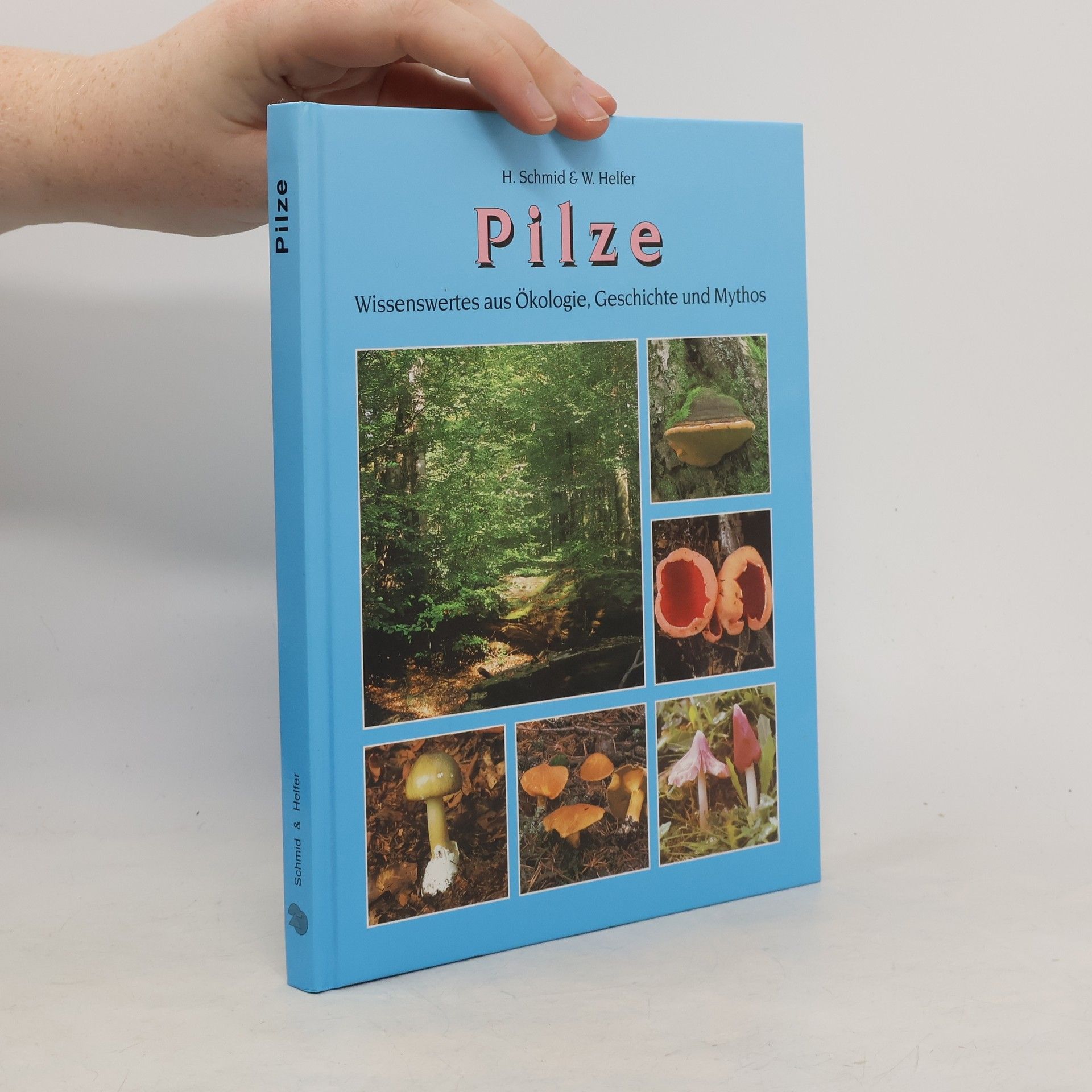 Helmuth Schmid Heckel Pilze