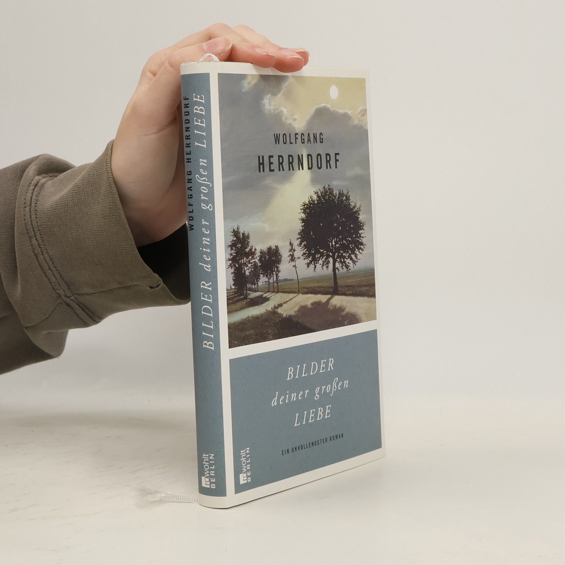 Bilder deiner großen Liebe : ein unvollendeter Roman