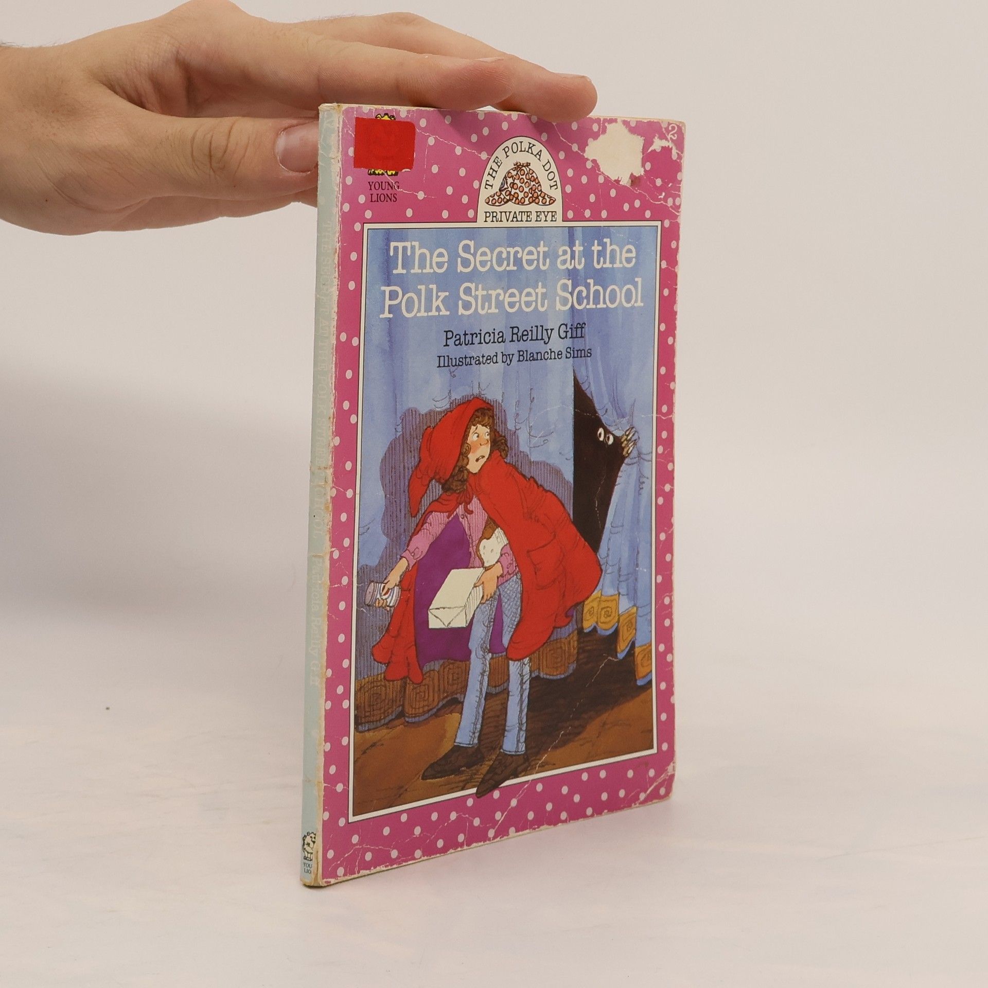 Patricia Reilly The Secret of the Polk Street School