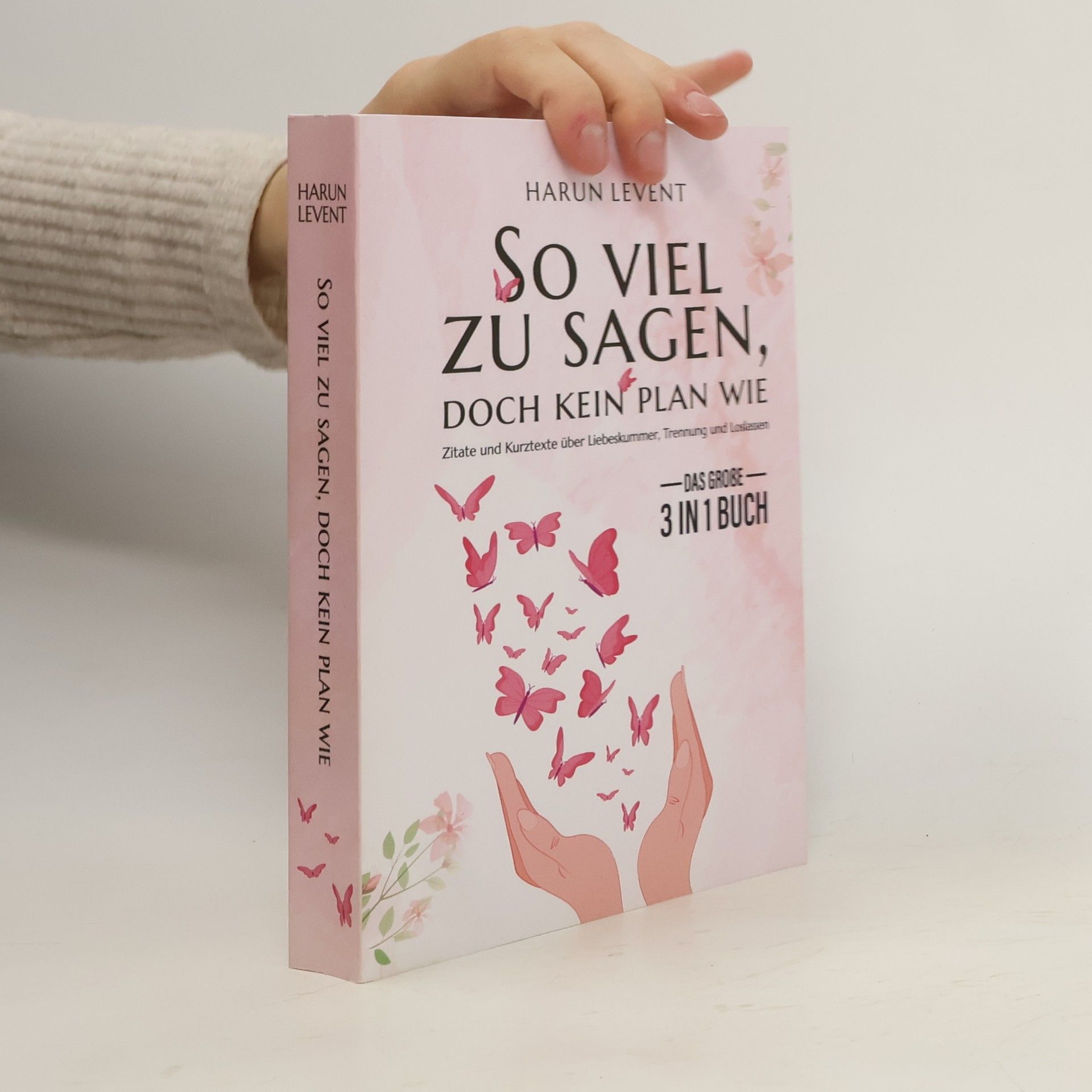 So viel zu sagen, doch kein Plan wie