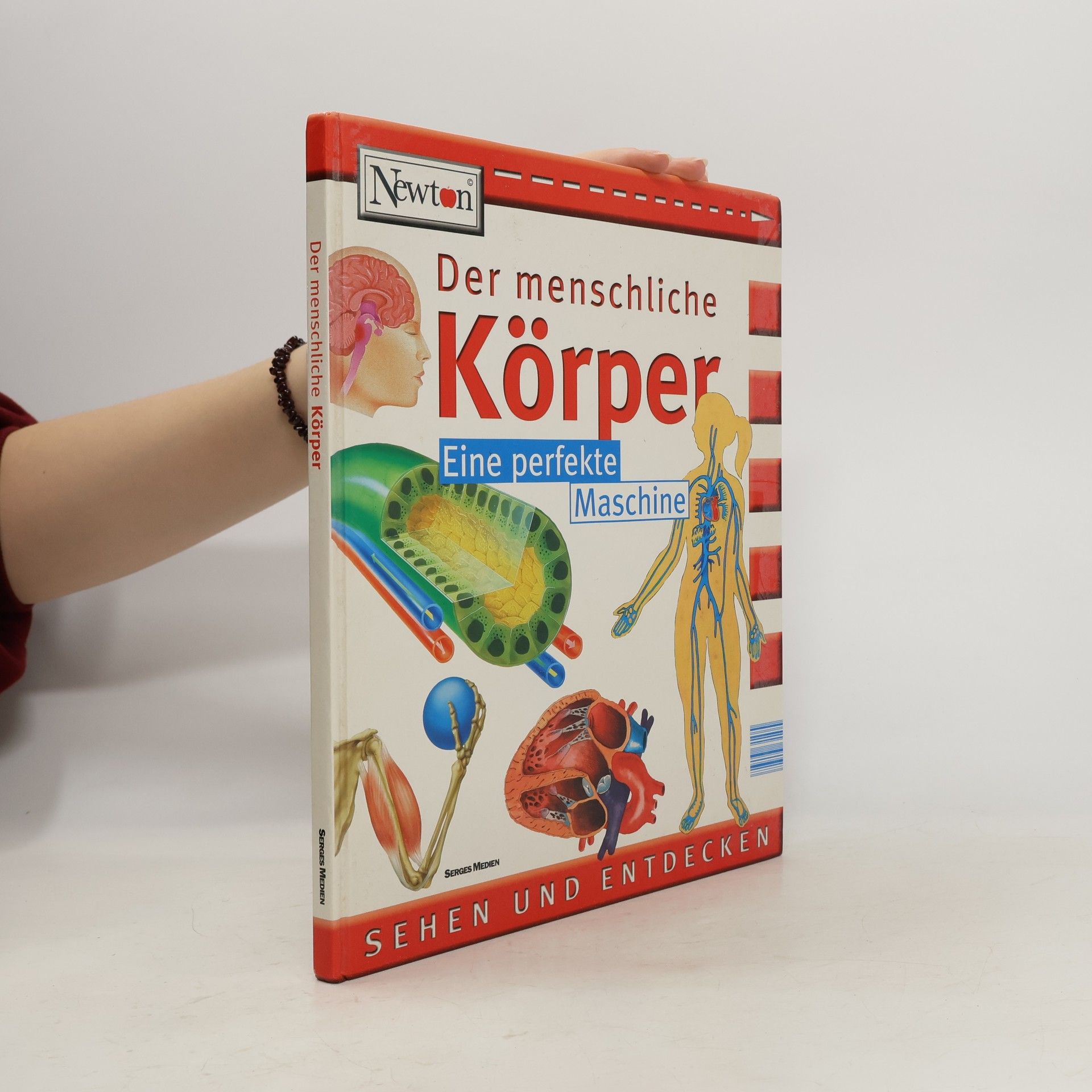 Autorenkollektiv Der menschliche Körper