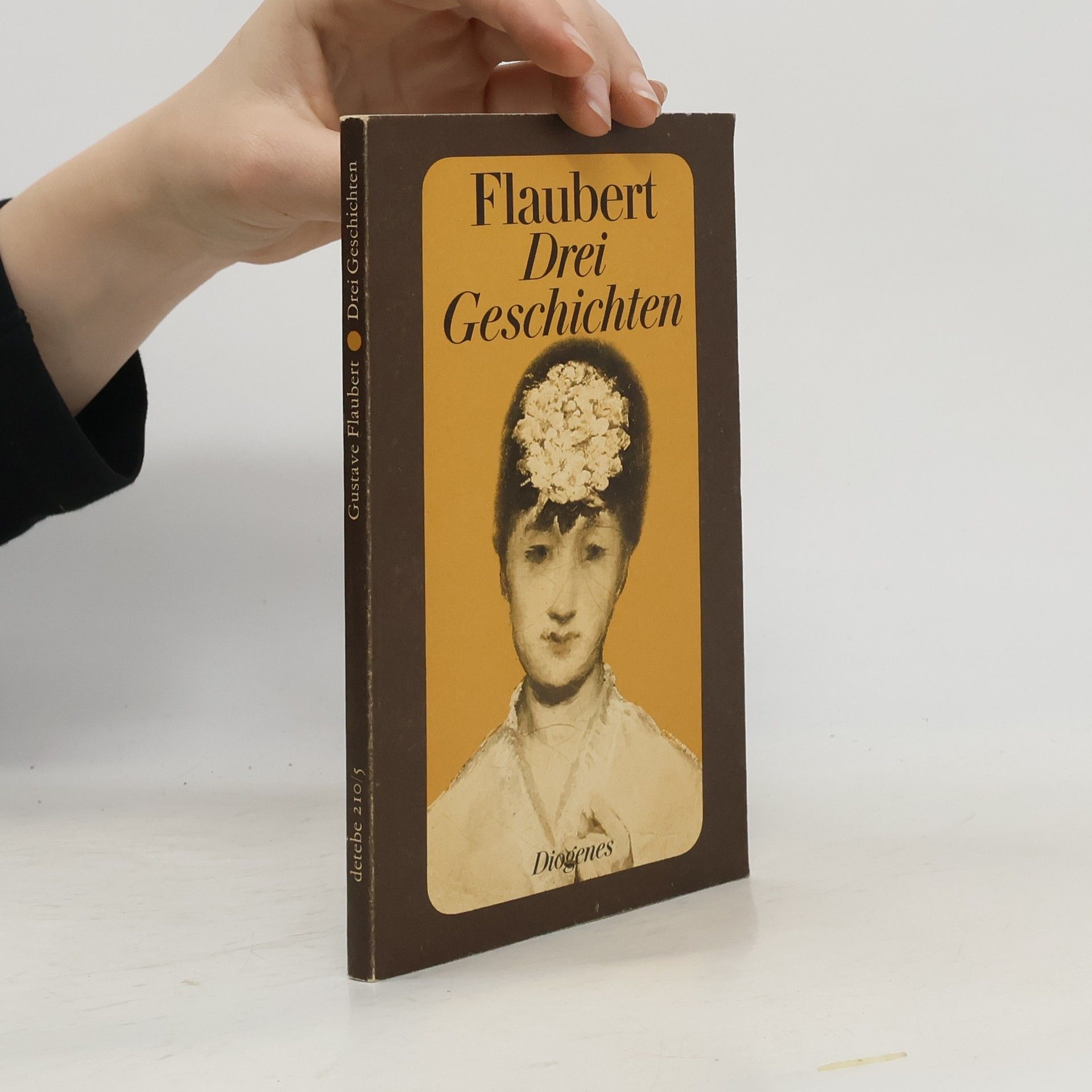 Gustave Flaubert Drei Geschichten