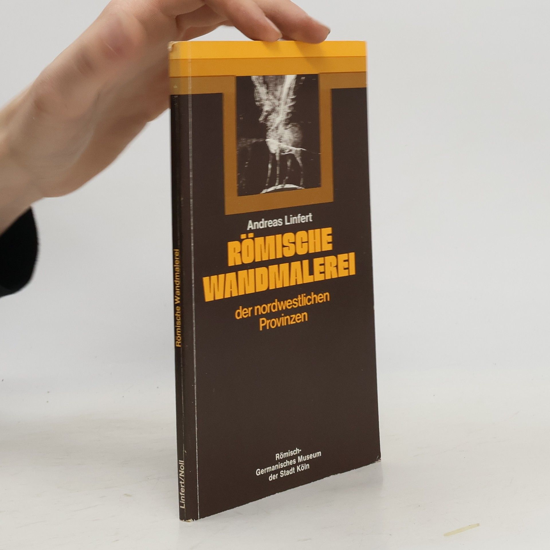 Römische Wandmalerei der nordwestlichen Provinzen