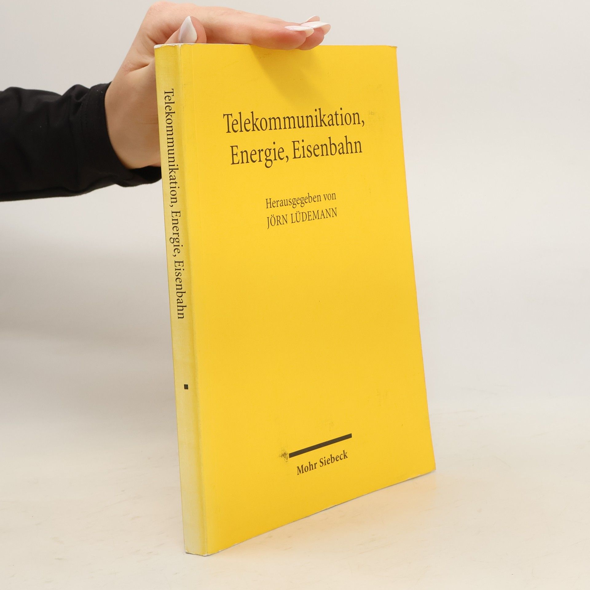 Jörn Lüdemann Telekommunikation, Energie, Eisenbahn