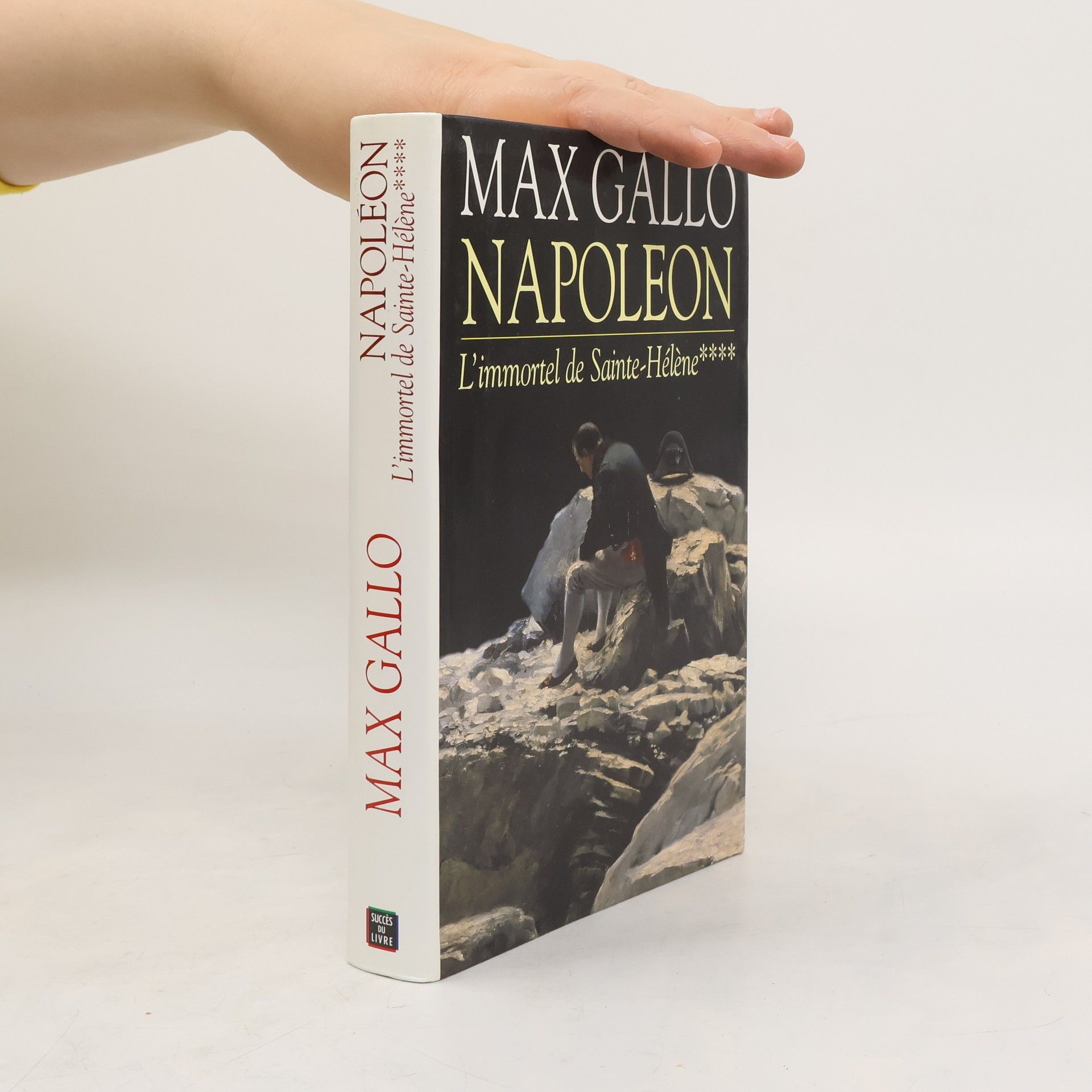 Max Gallo Napoléon