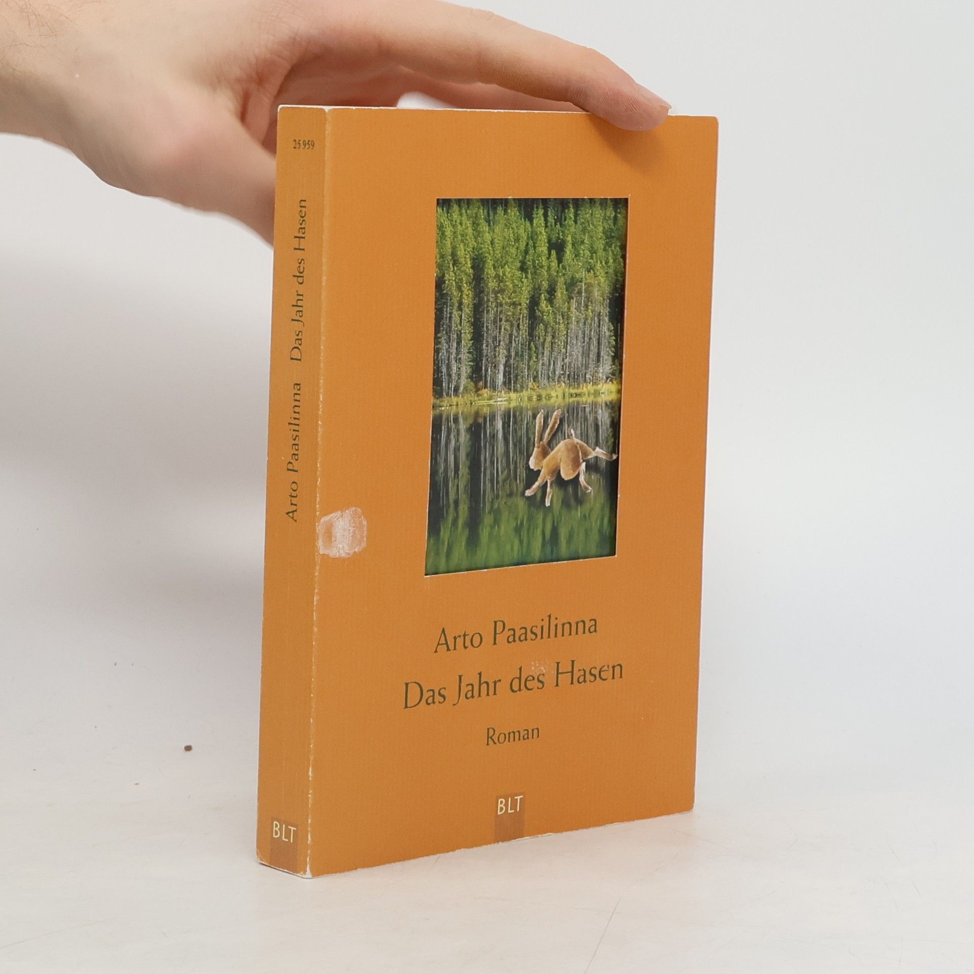 Arto Paasilinna Das Jahr des Hasen