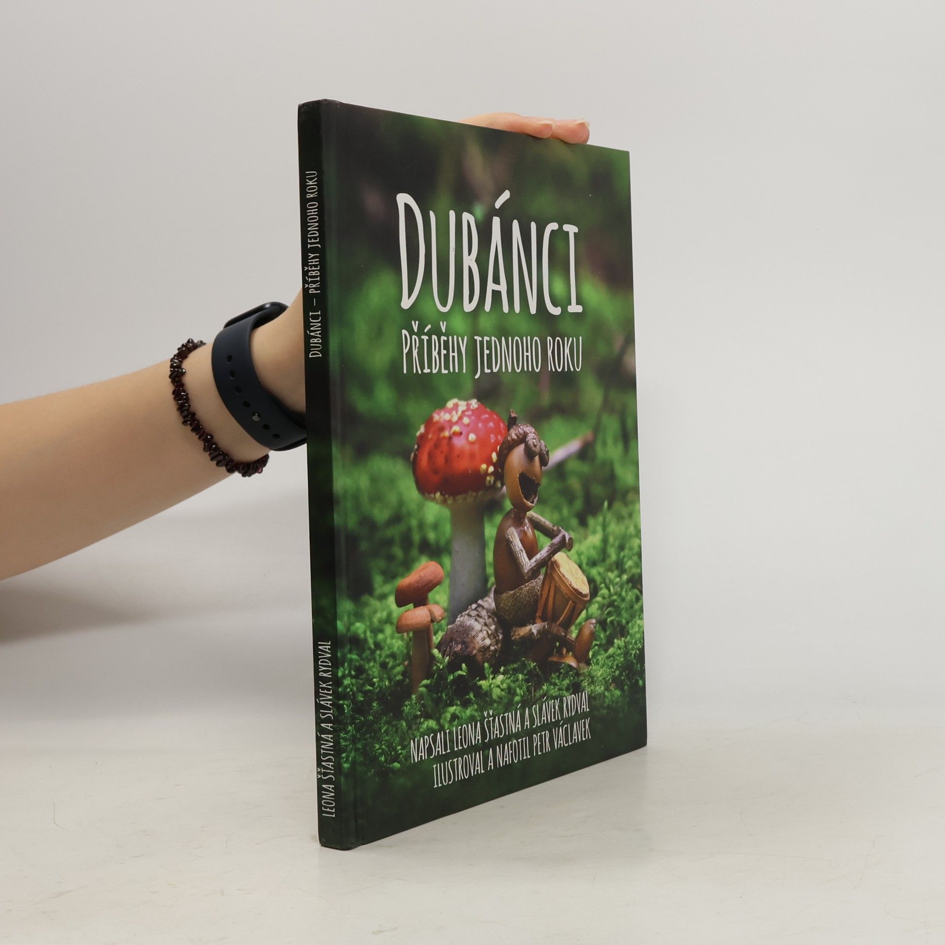 Dubánci: Příběhy jednoho roku