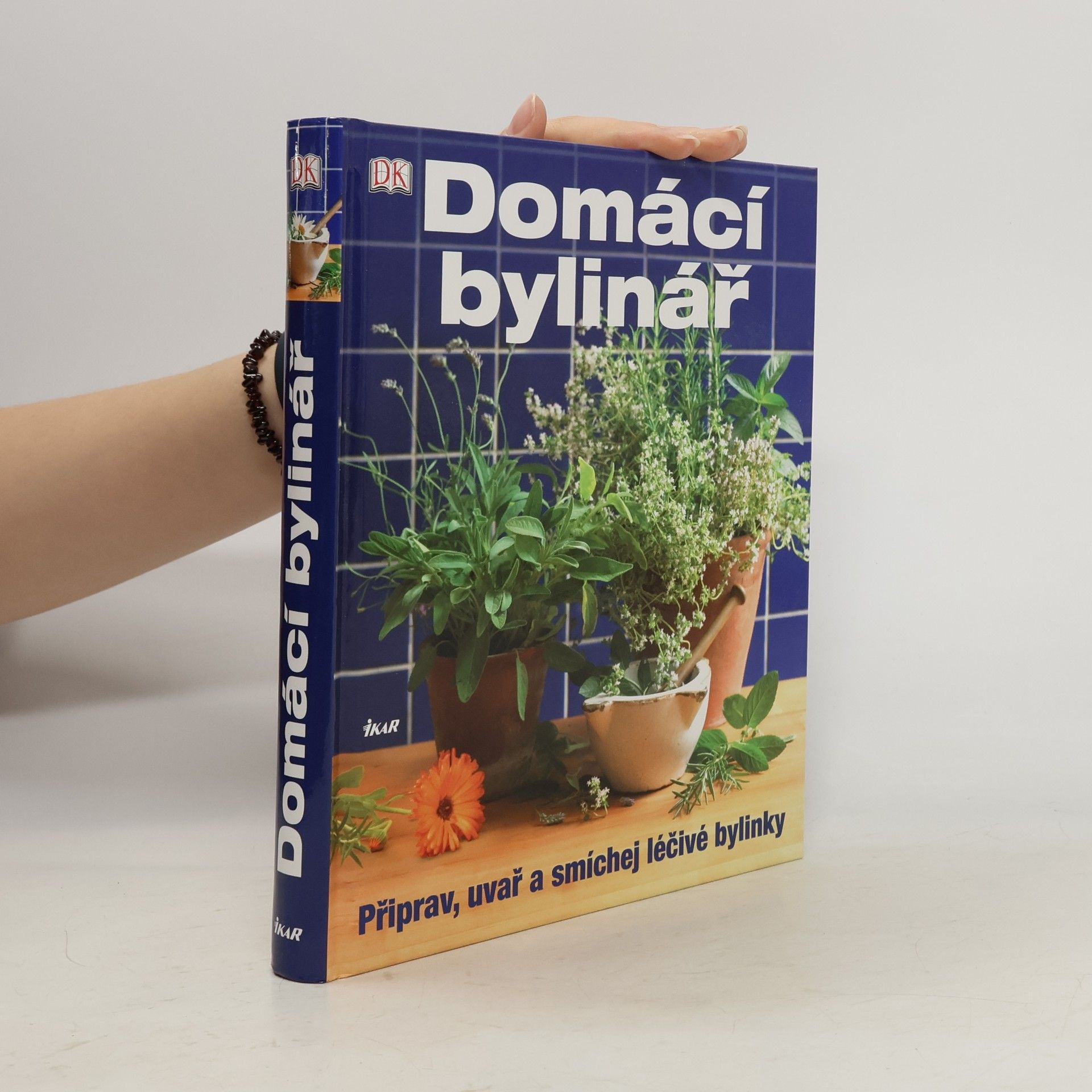 Kolektiv autorů Domácí bylinář