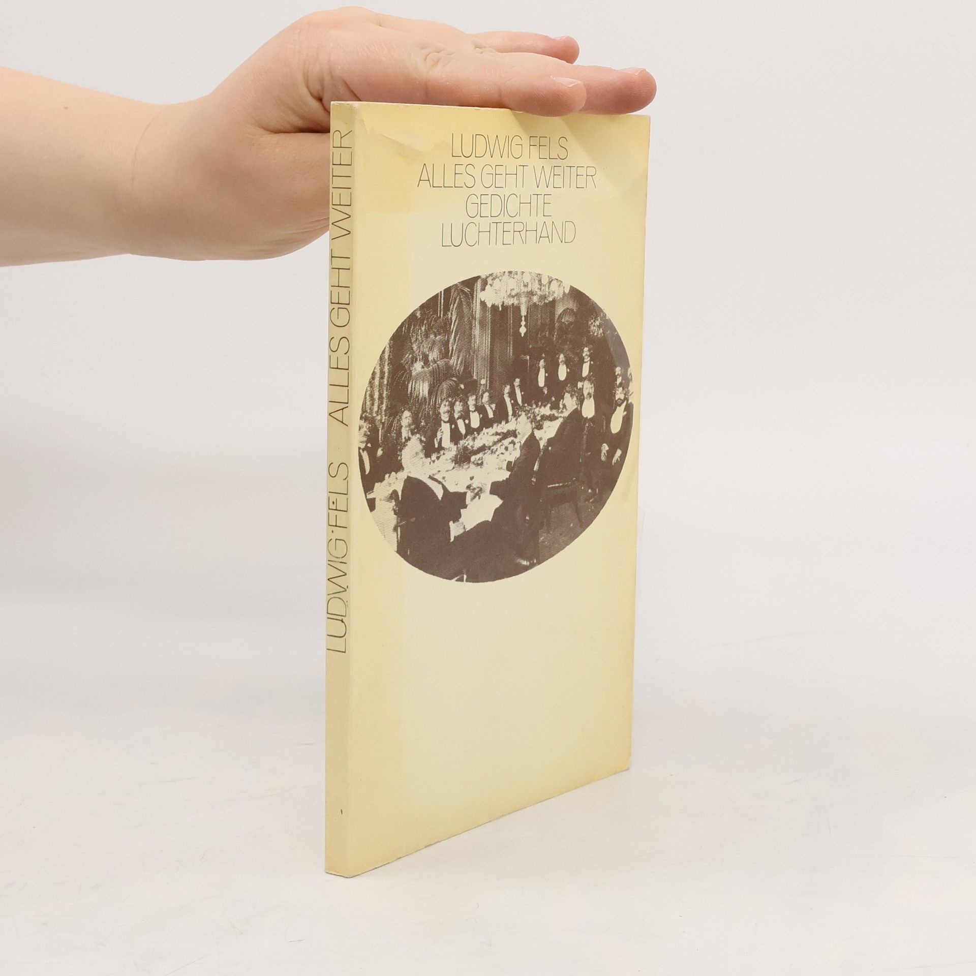 Ludwig Fels Alles geht weiter