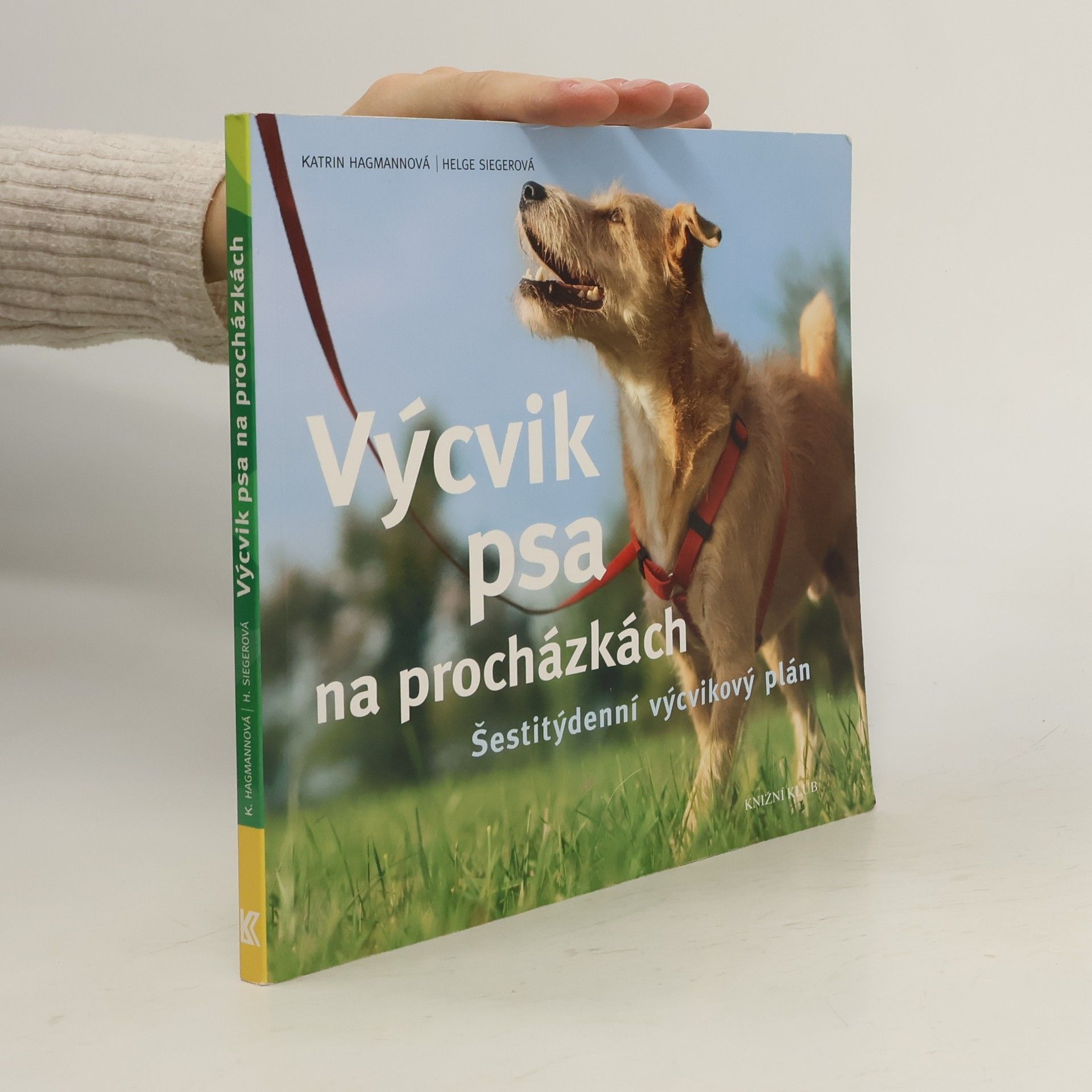 Výcvik psa na procházkách