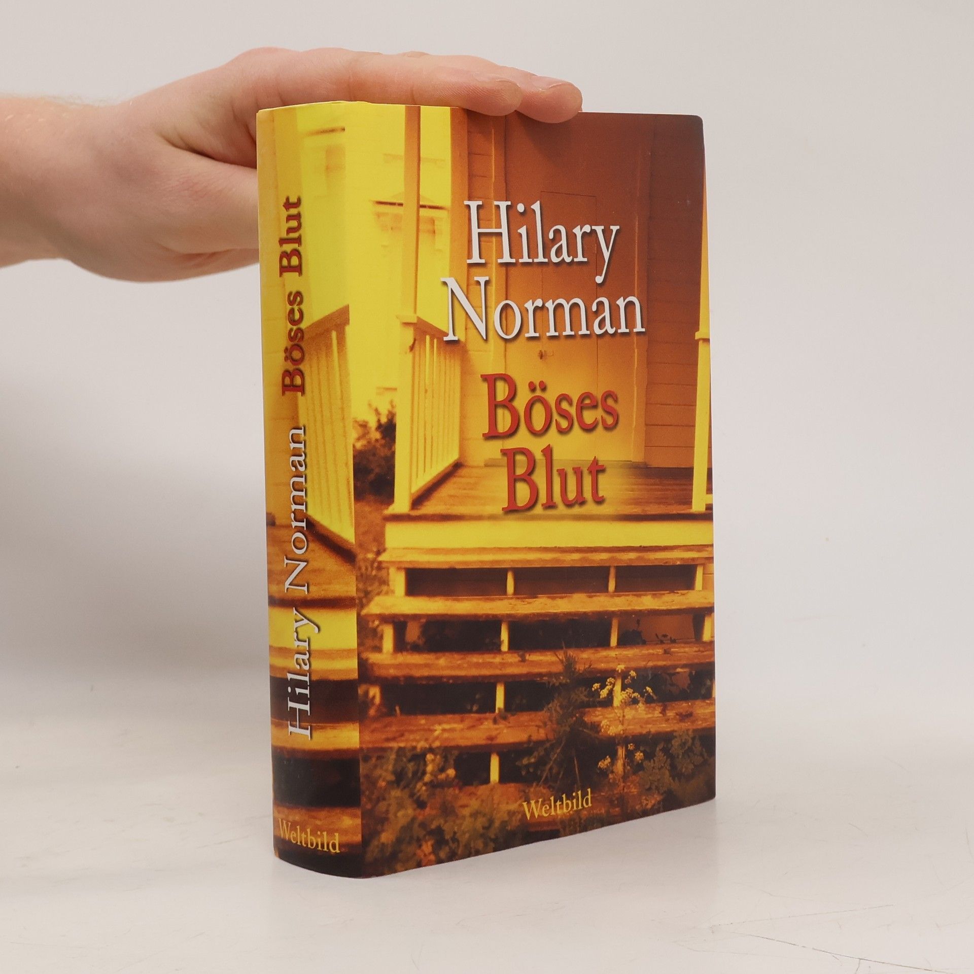 Hilary Norman Böses Blut