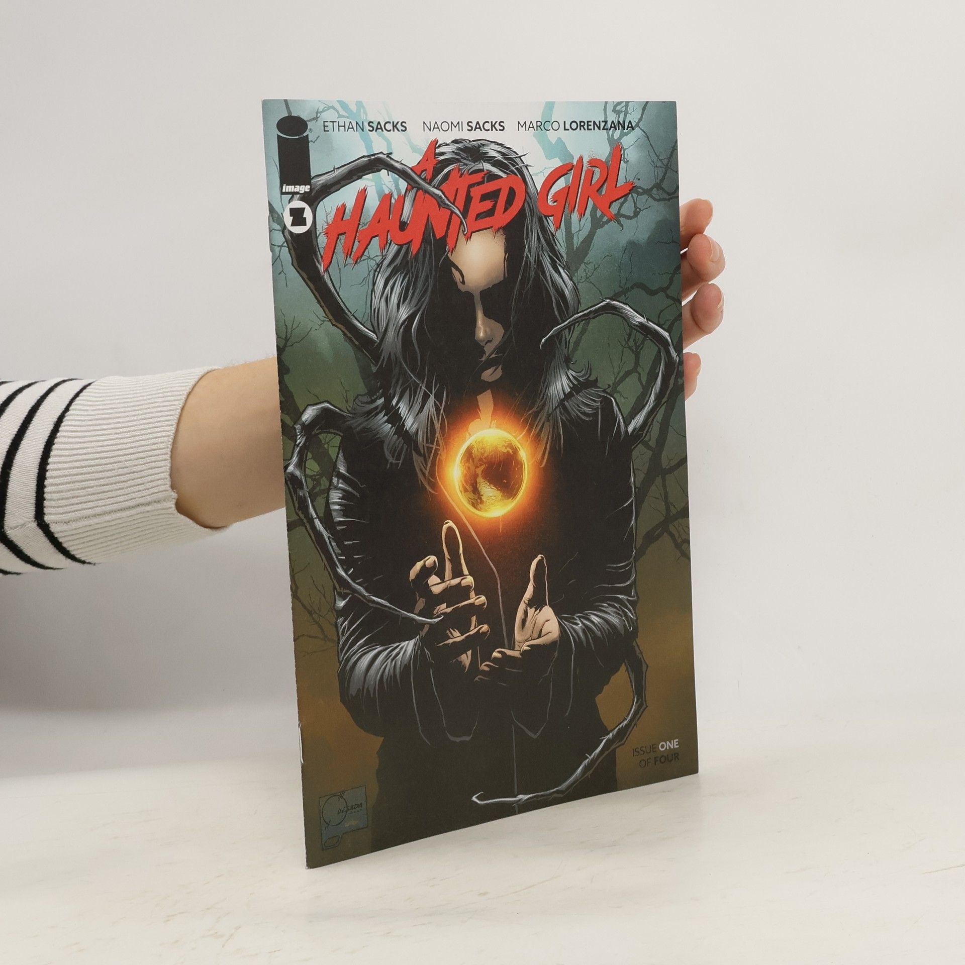 Ethan Sacks A Haunted Girl 1