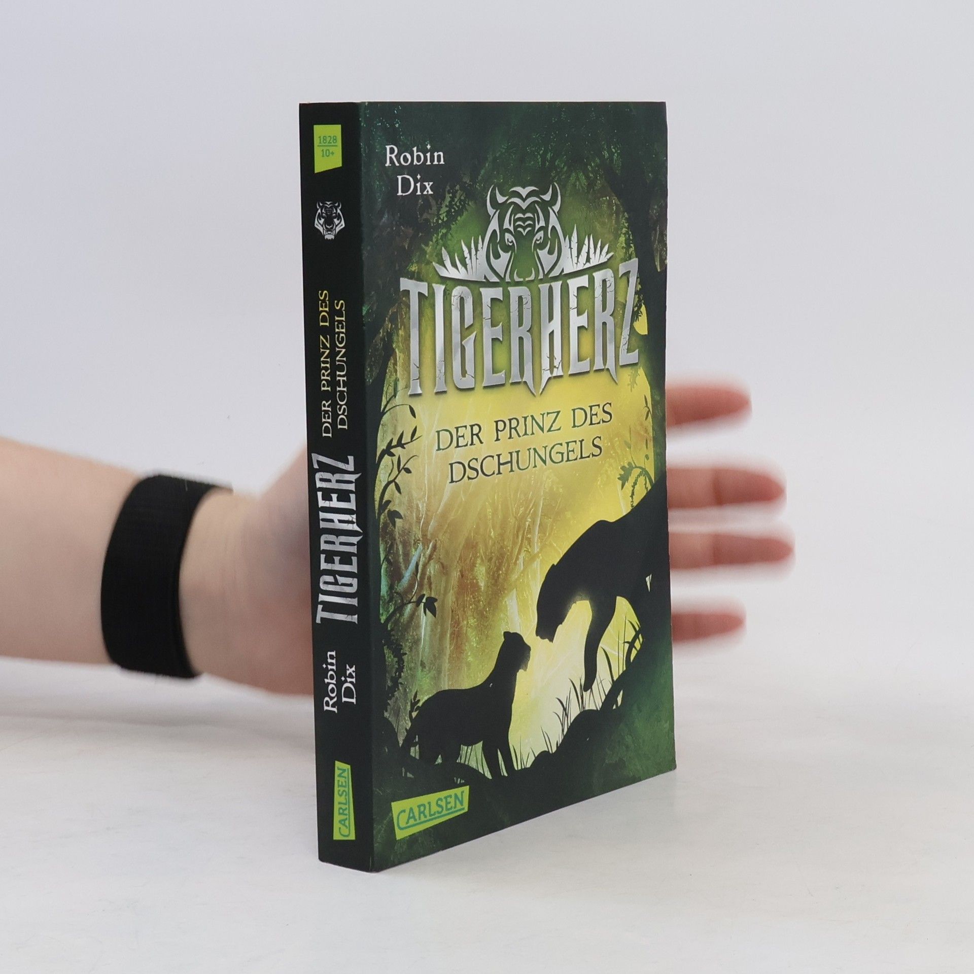 Robin Dix Tigerherz 1: Der Prinz des Dschungels