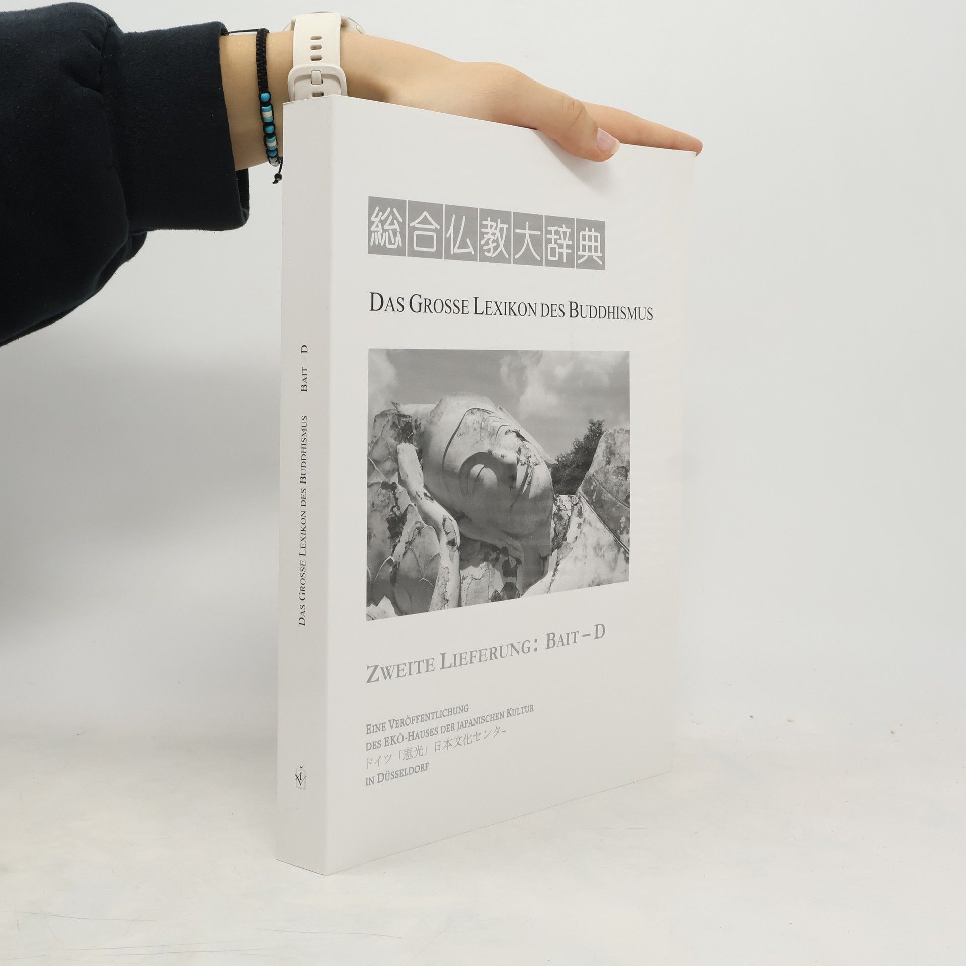 Kolektív autorov Das Große Lexikon des Buddhismus
