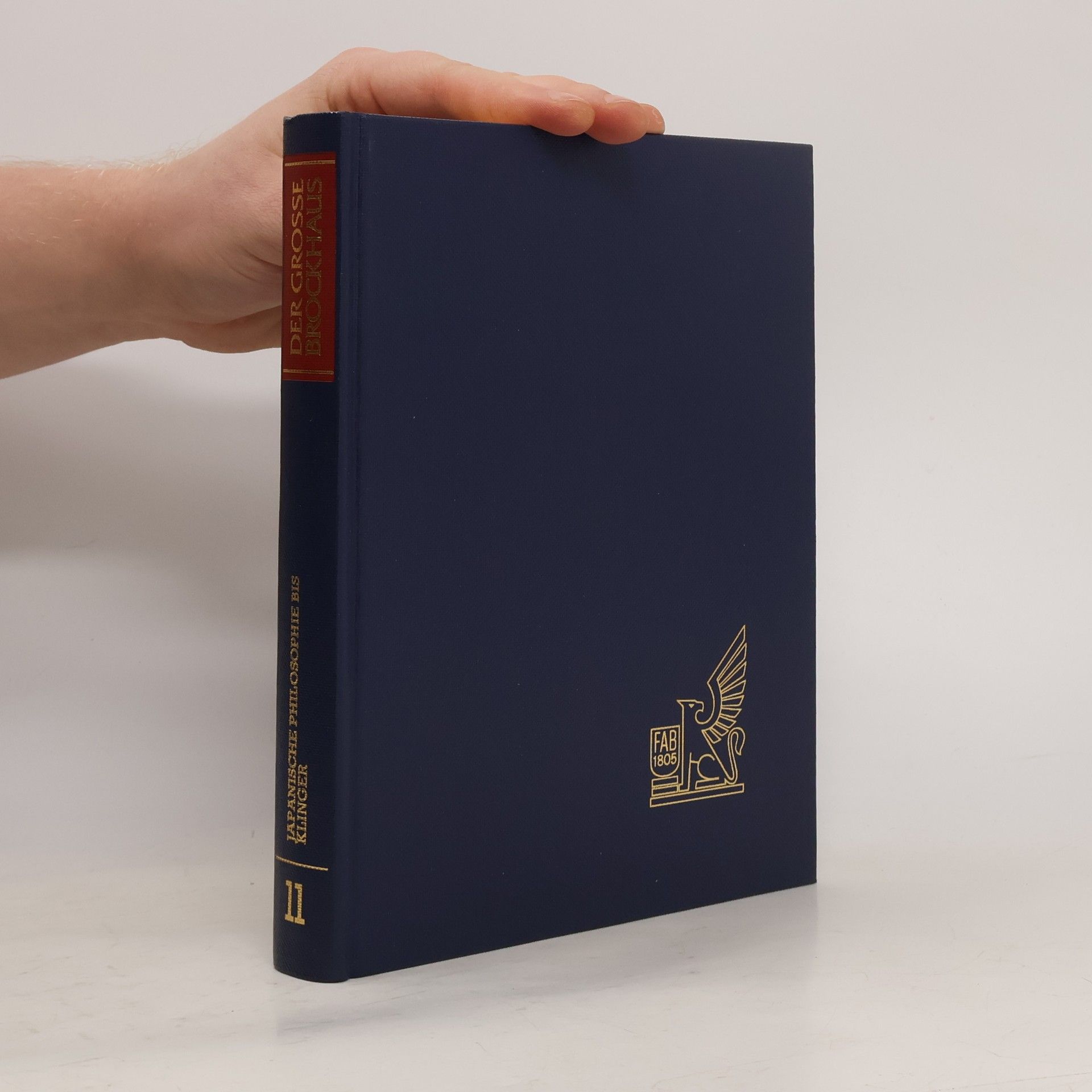 Kolektiv autorů Der große Brockhaus in 12 Bänden. 11