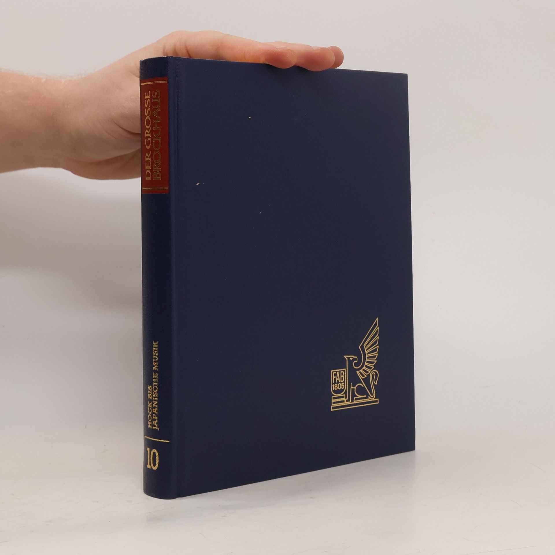 Kolektiv autorů Der große Brockhaus 10