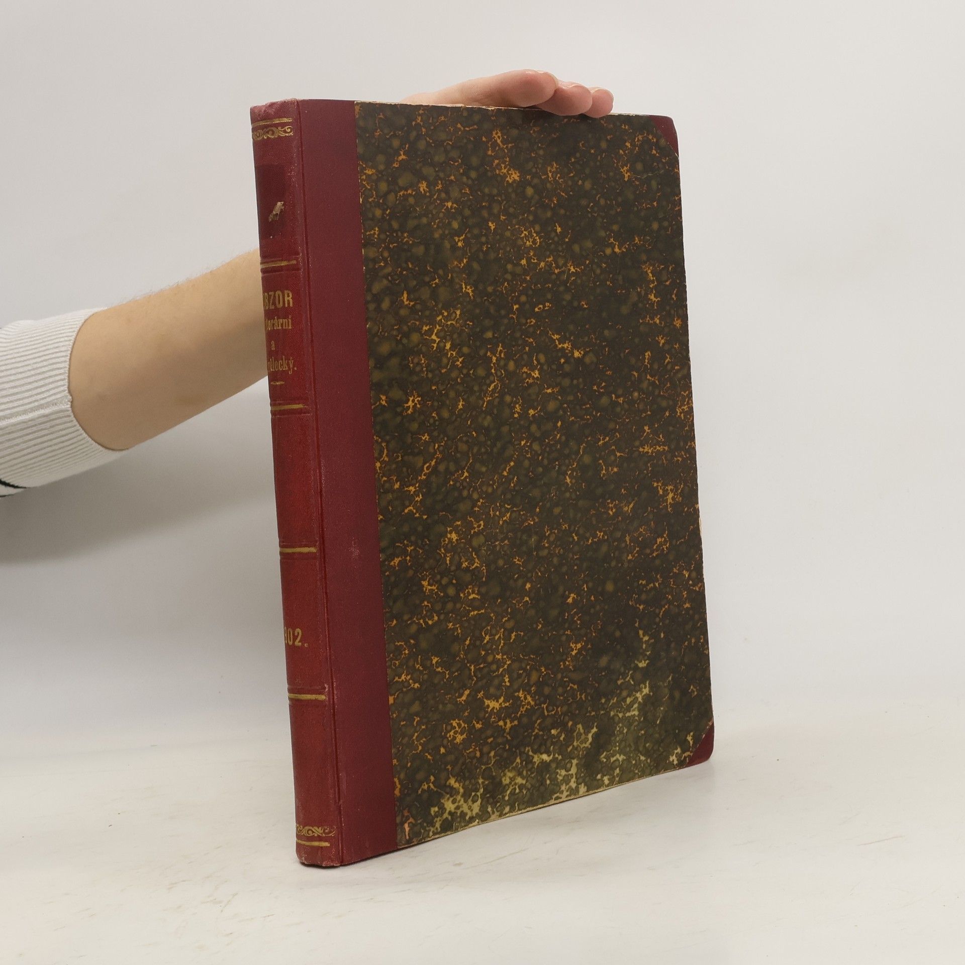 Collectif d'auteurs Obzor literární a umělecký 1902