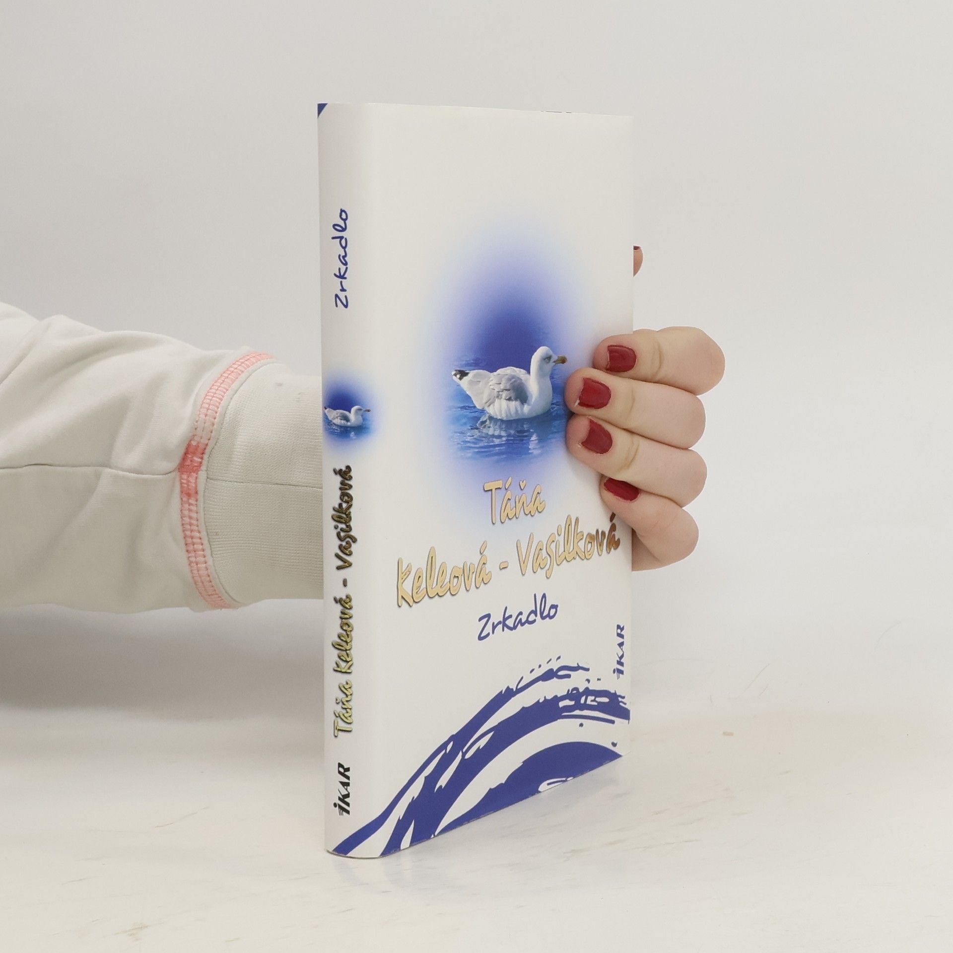 Táňa Keleová-Vasilková Zrkadlo