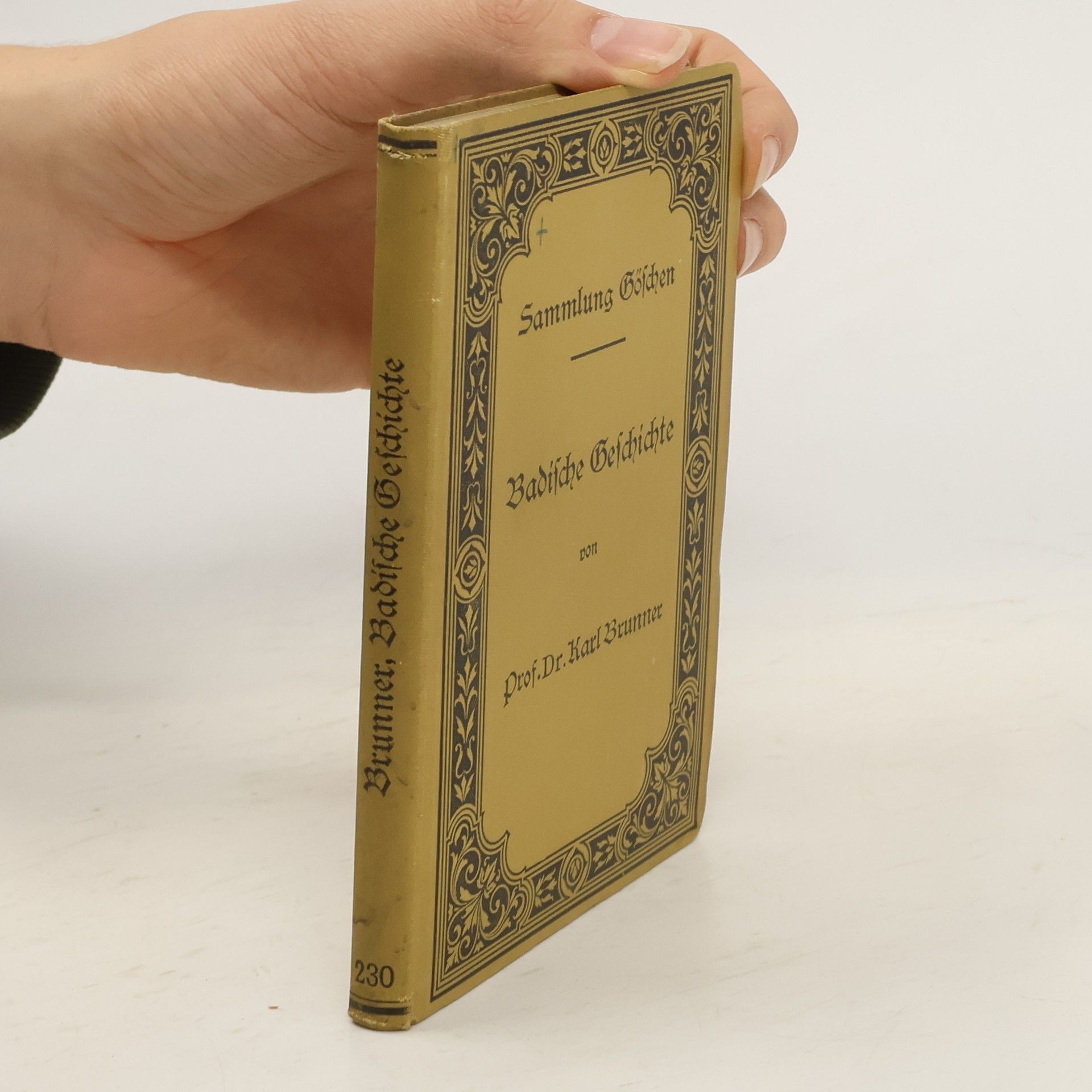 Karl Brunner Badische Geschichte