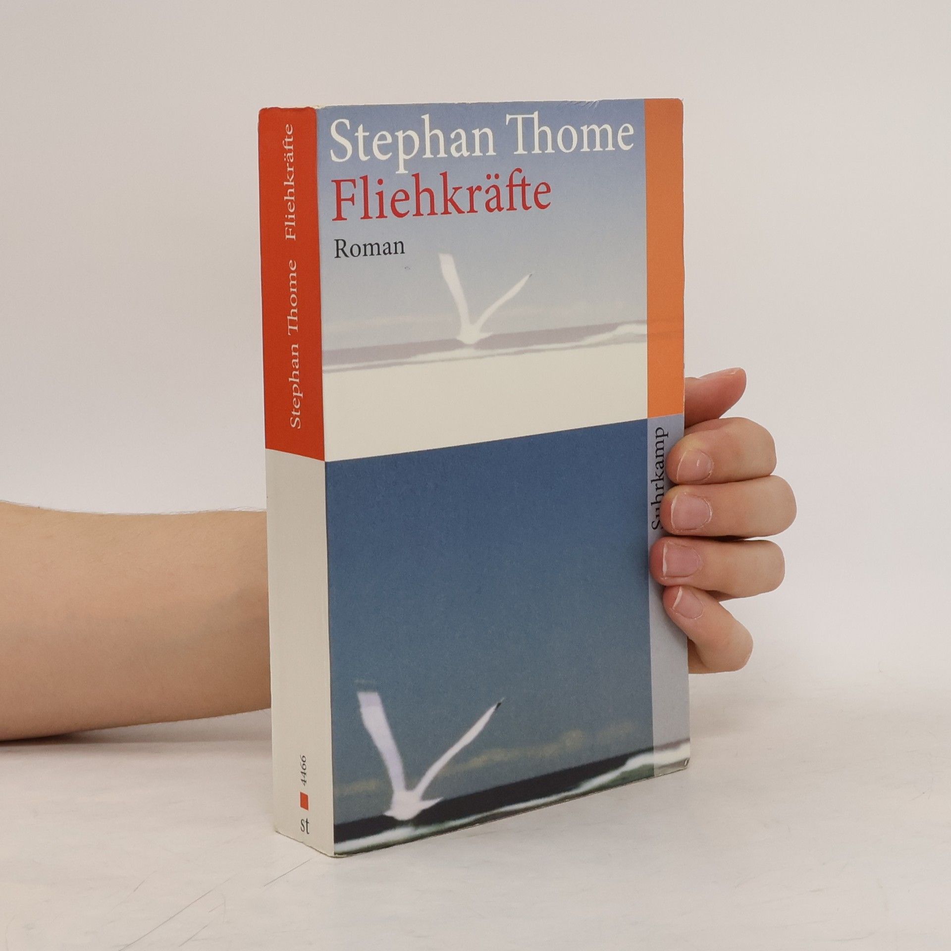 Stephan Thome Fliehkräfte