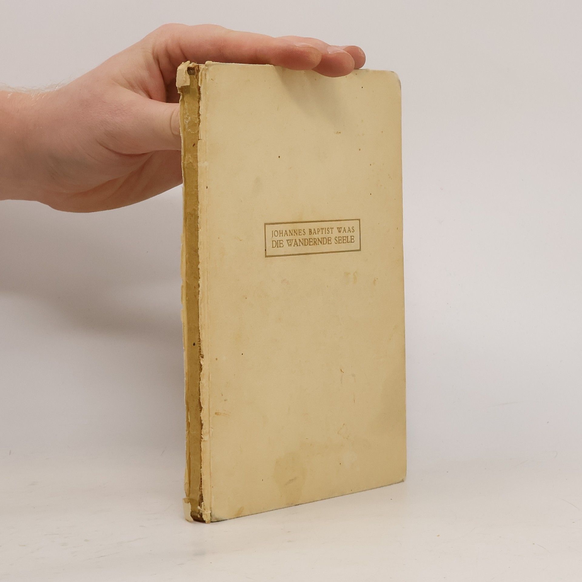 Waas Johann Baptist Die wandernde Seele