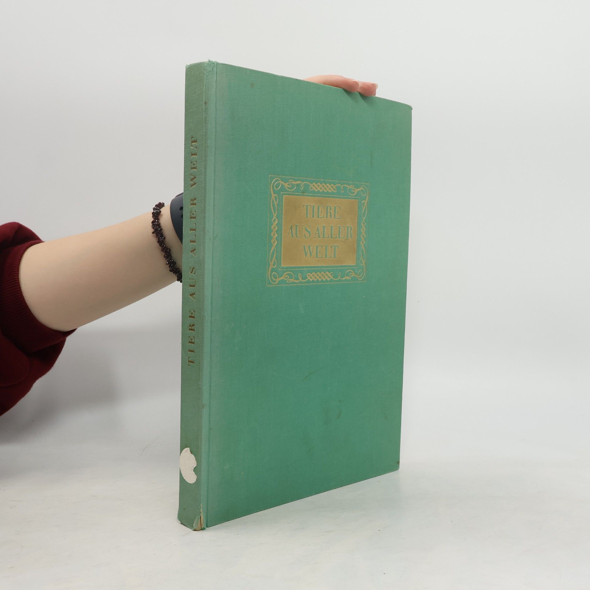 Tiere aus aller Welt II. Teil