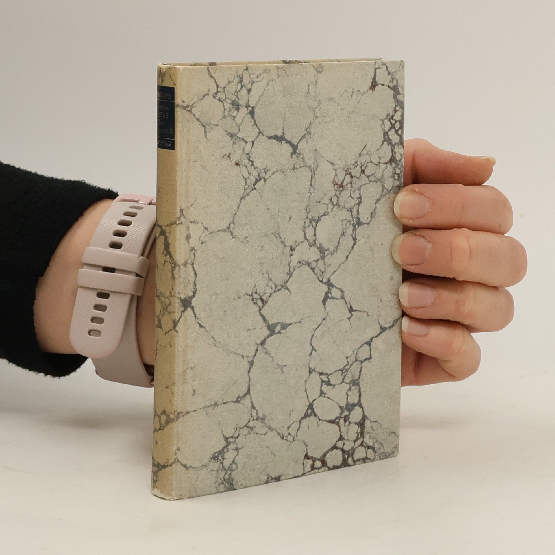 Hermann Hesse Die Romane und die grossen Erzählungen. Fünfter Band. Der Steppenwolf