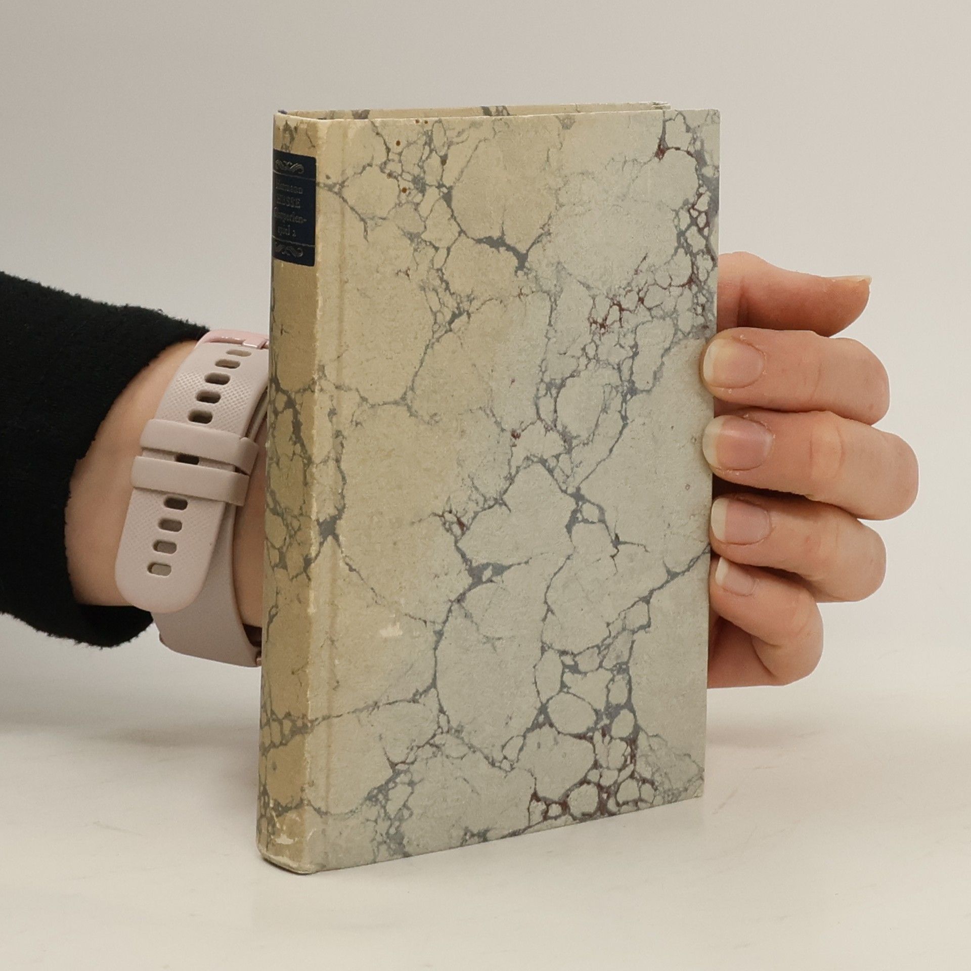 Hermann Hesse Die Romane und die Grossen Erzählungen 8. Das Glasperlenspiel 2