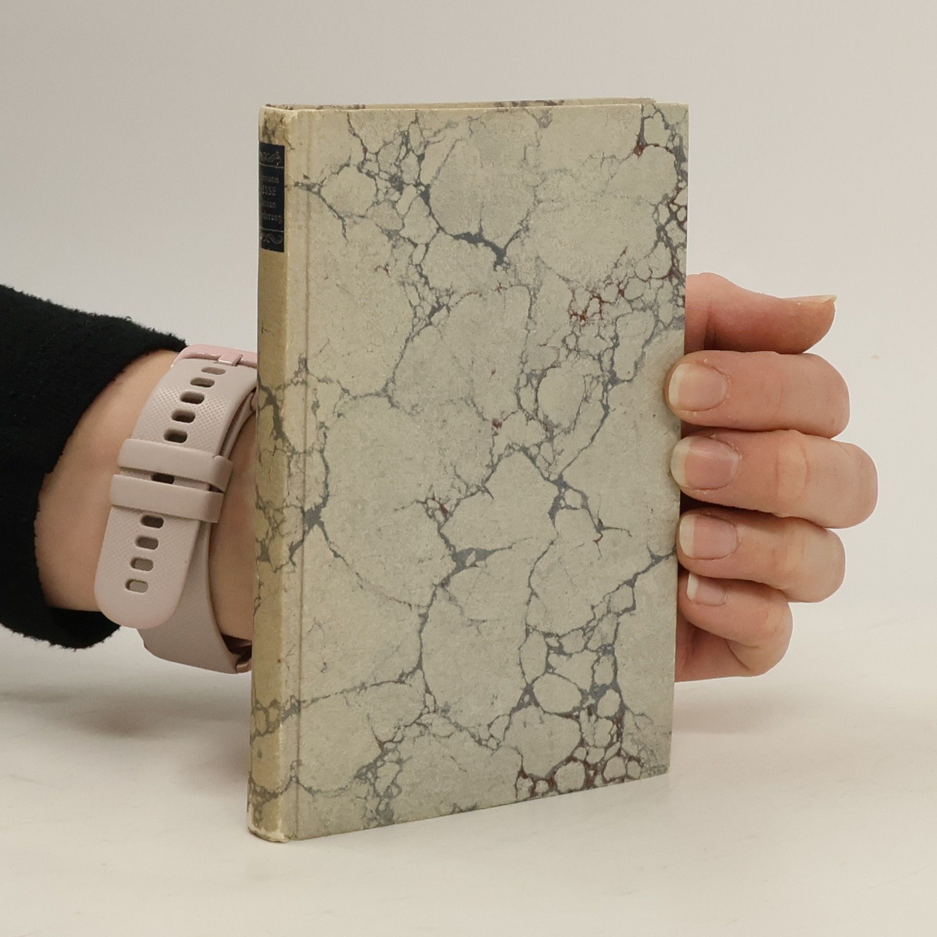 Hermann Hesse Die Romane und die grossen Erzählungen Band 3. Demian. Wanderung