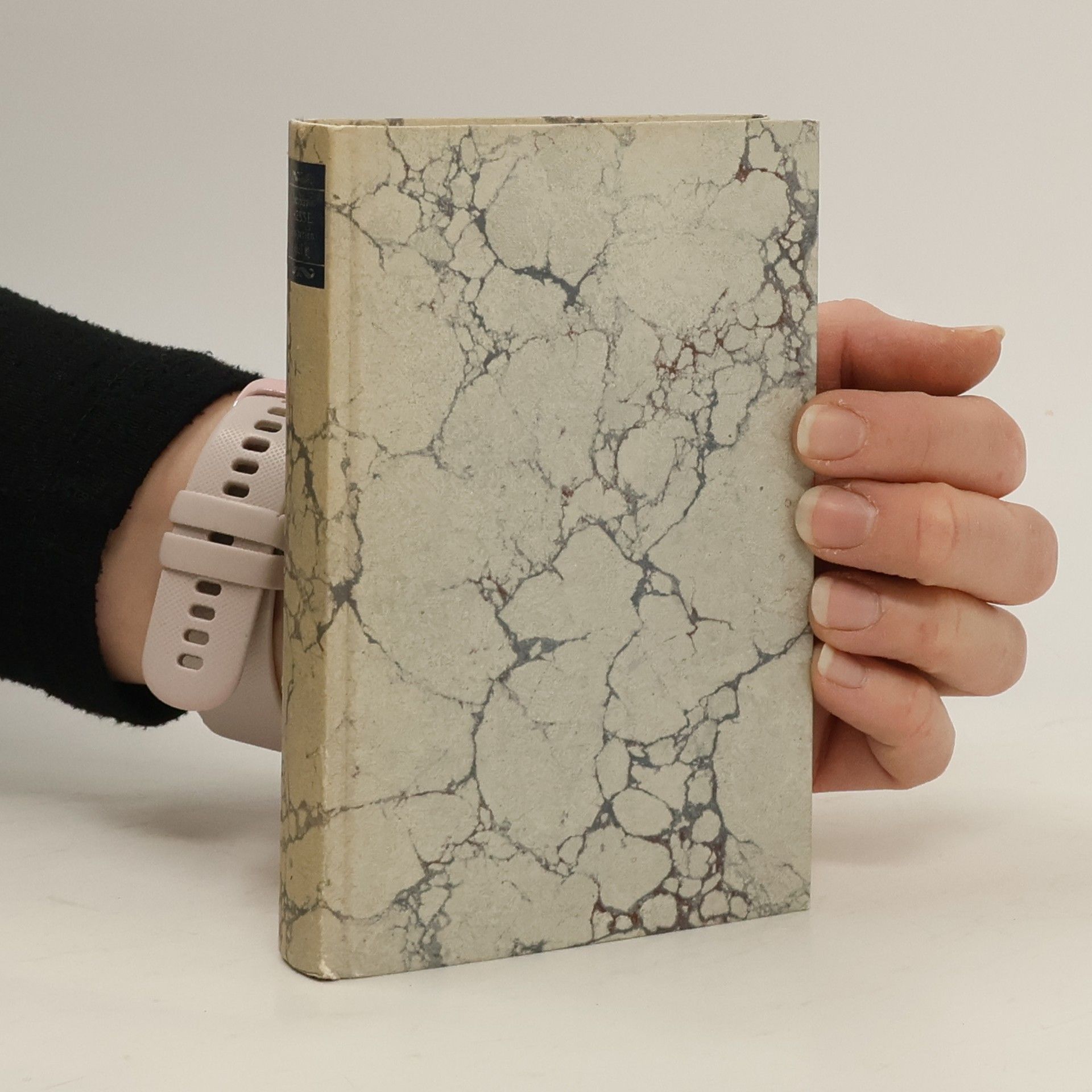 Kolektiv autorů Die Romane und die grossen Erzählungen 6