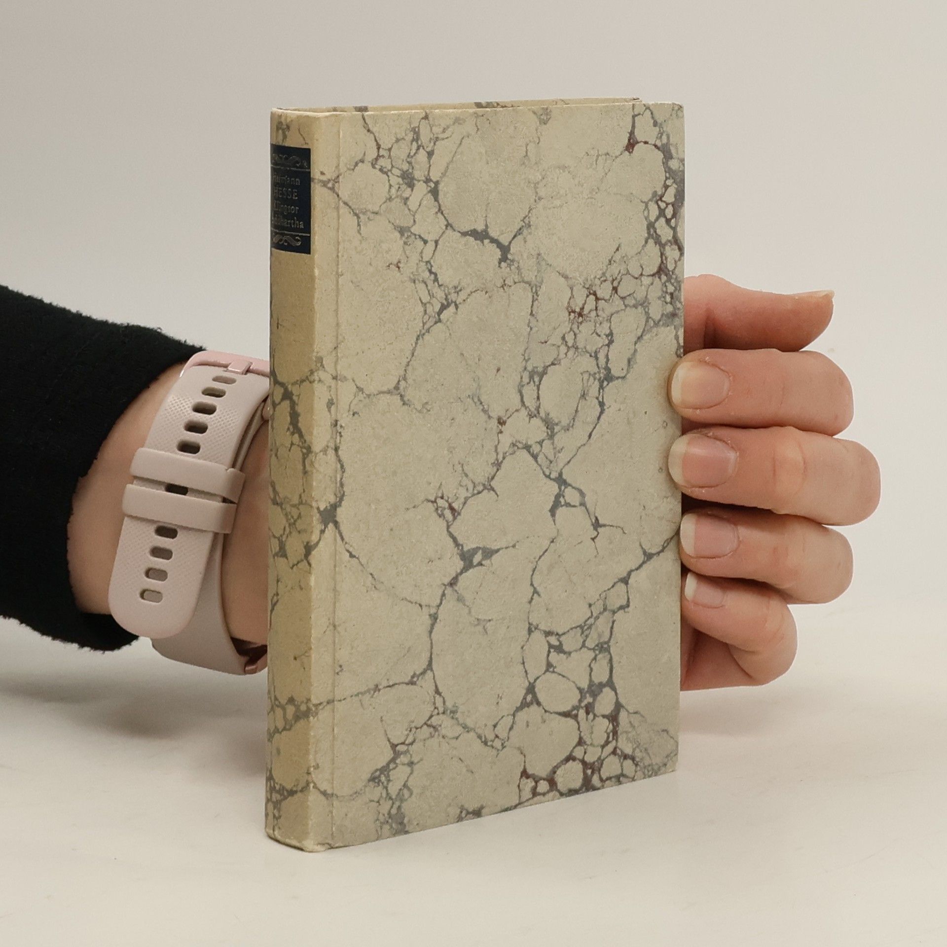 Hermann Hesse Die Romane und die Grossen Erzählungen V. Klein und Wagner. Klingsors letzter Sommer. Siddhartha