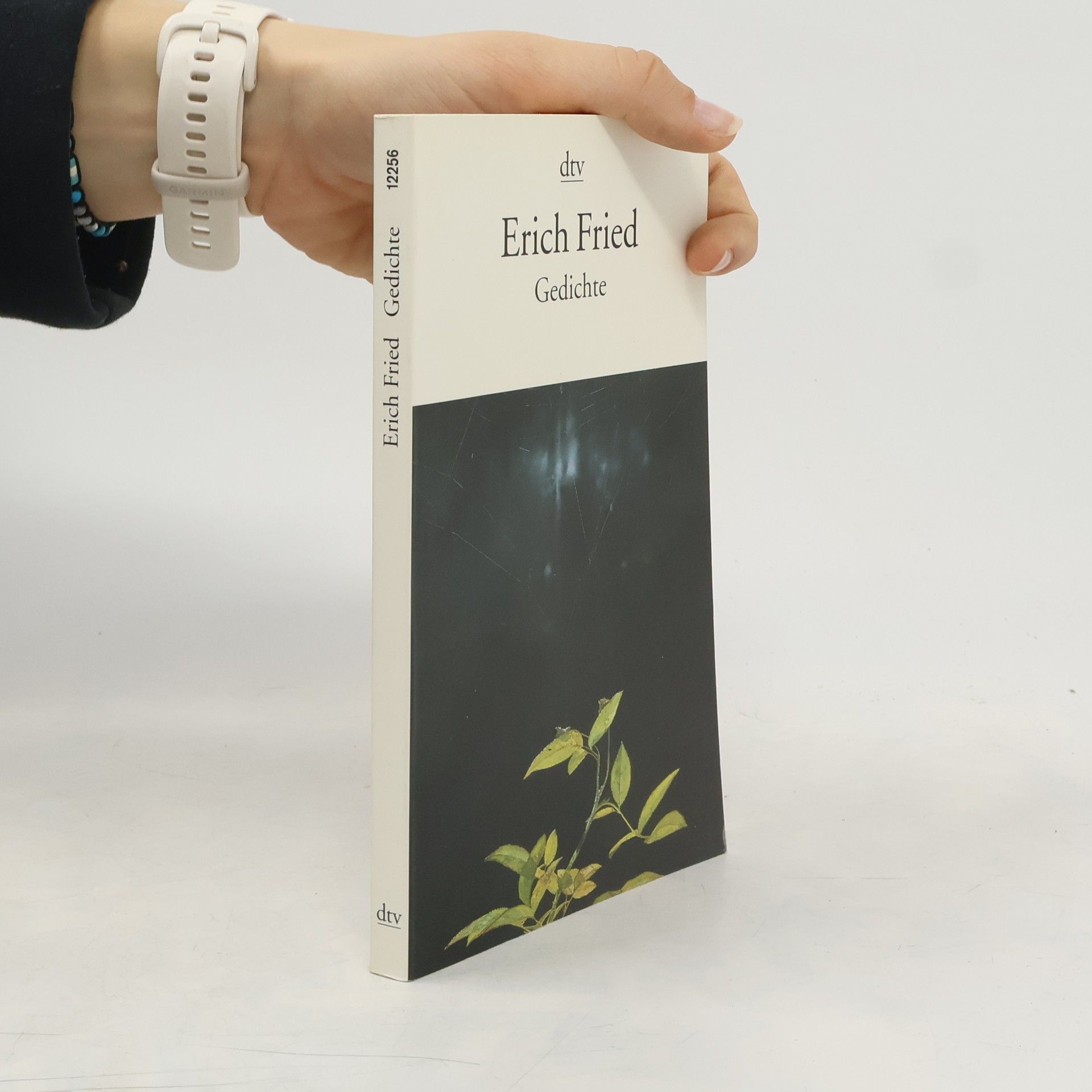 Erich Fried Gedichte