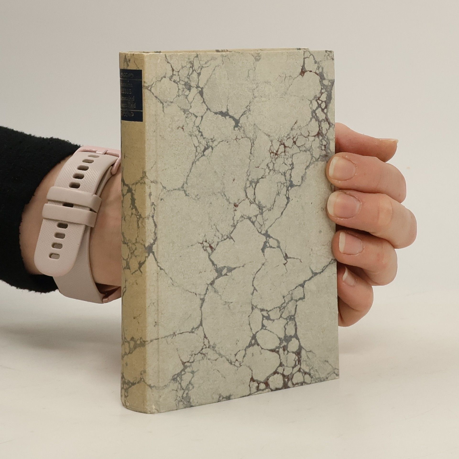 Hermann Hesse Die Romane und die grossen Erzählungen. Erster Band