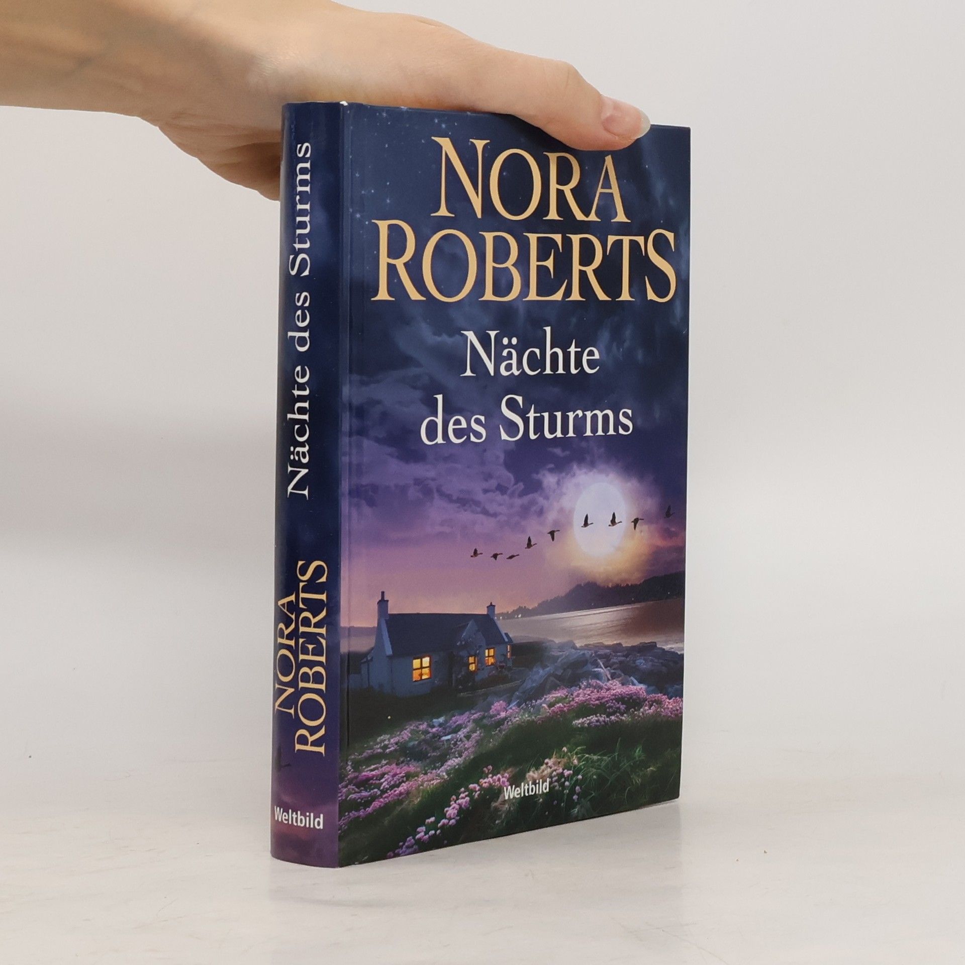 Nora Roberts Insel des Sturms