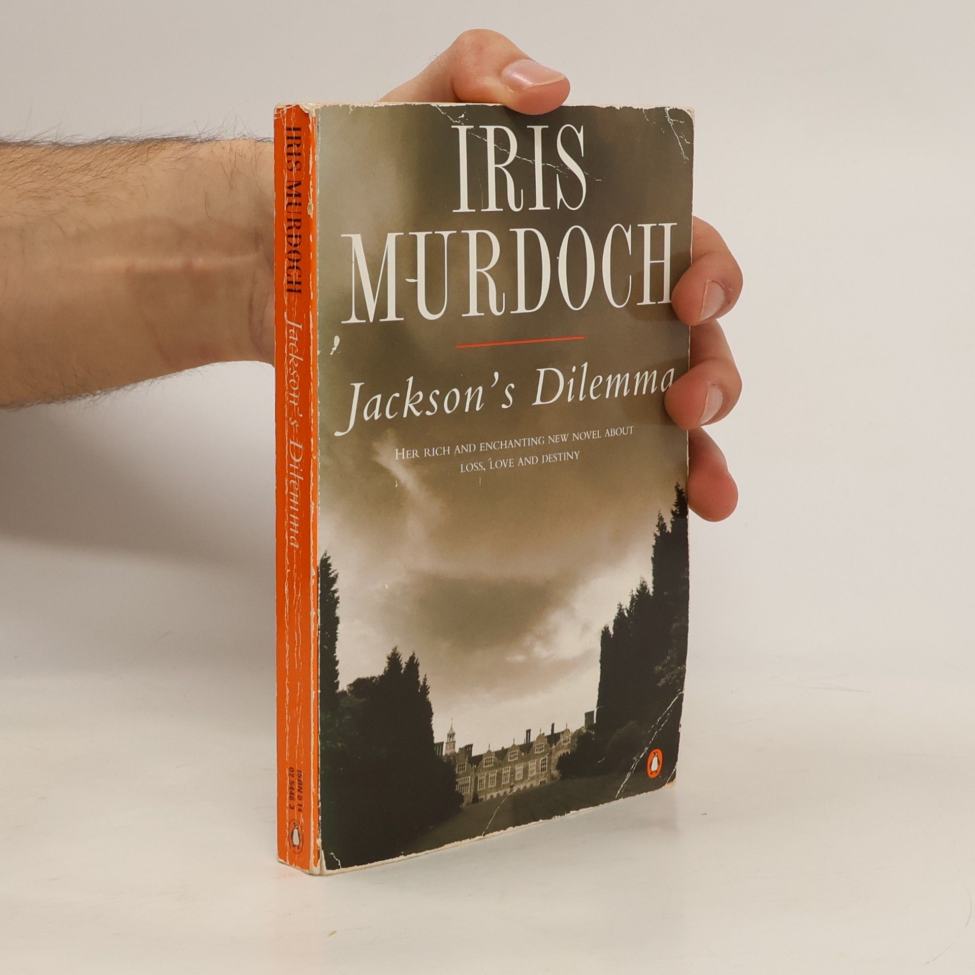 Iris Murdoch Jackson's Dilemma