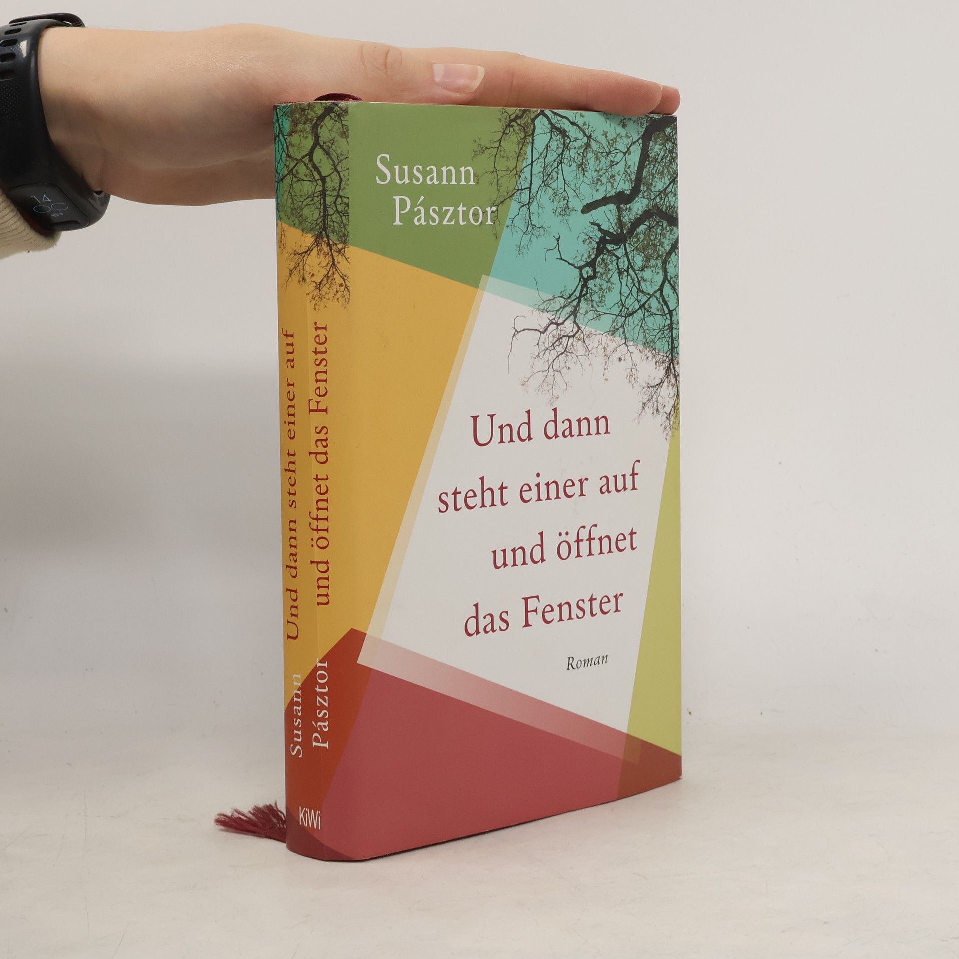 Susann Pásztor Und dann steht einer auf und öffnet das Fenster